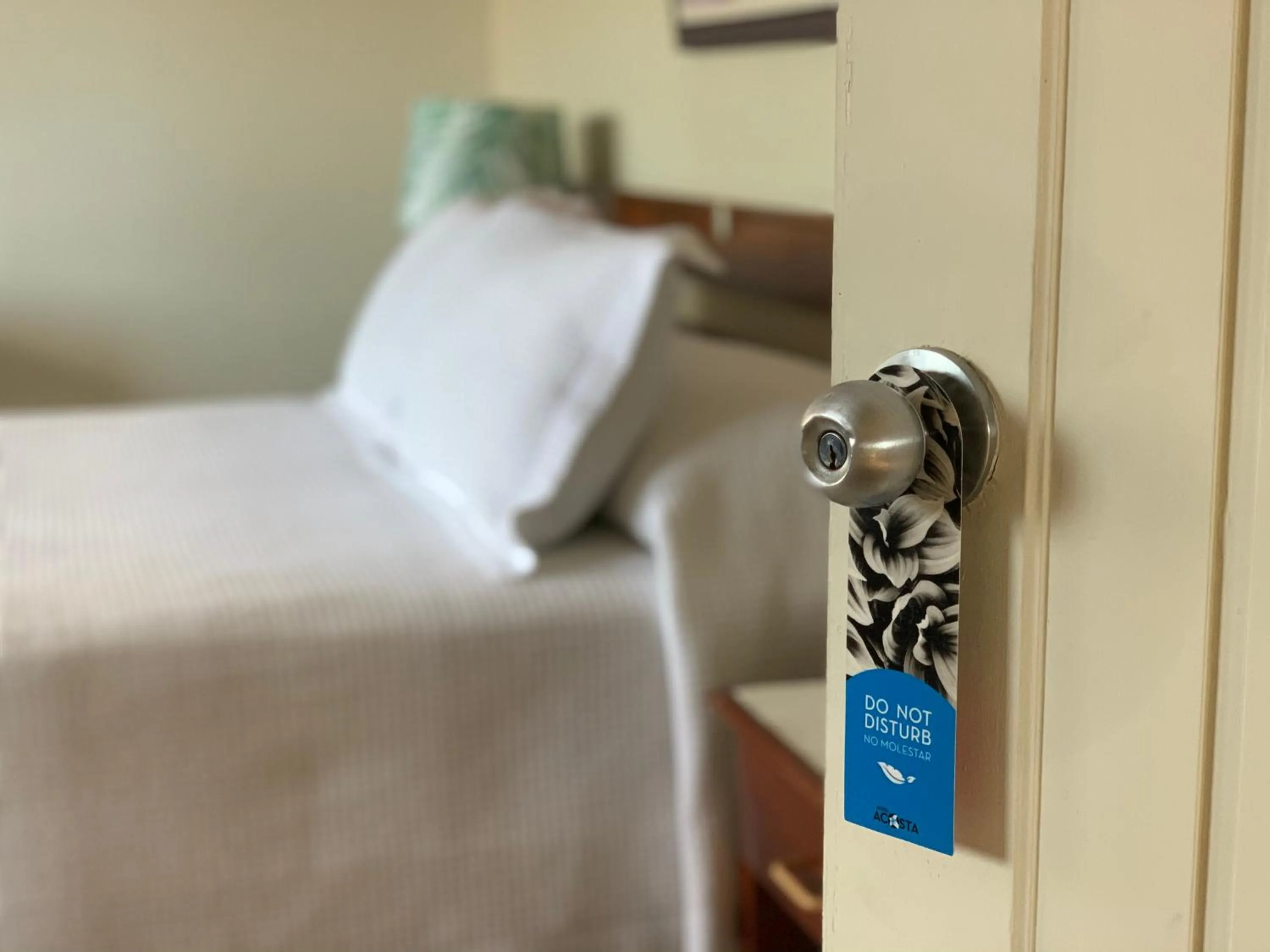 Double Room in Hotel Acosta