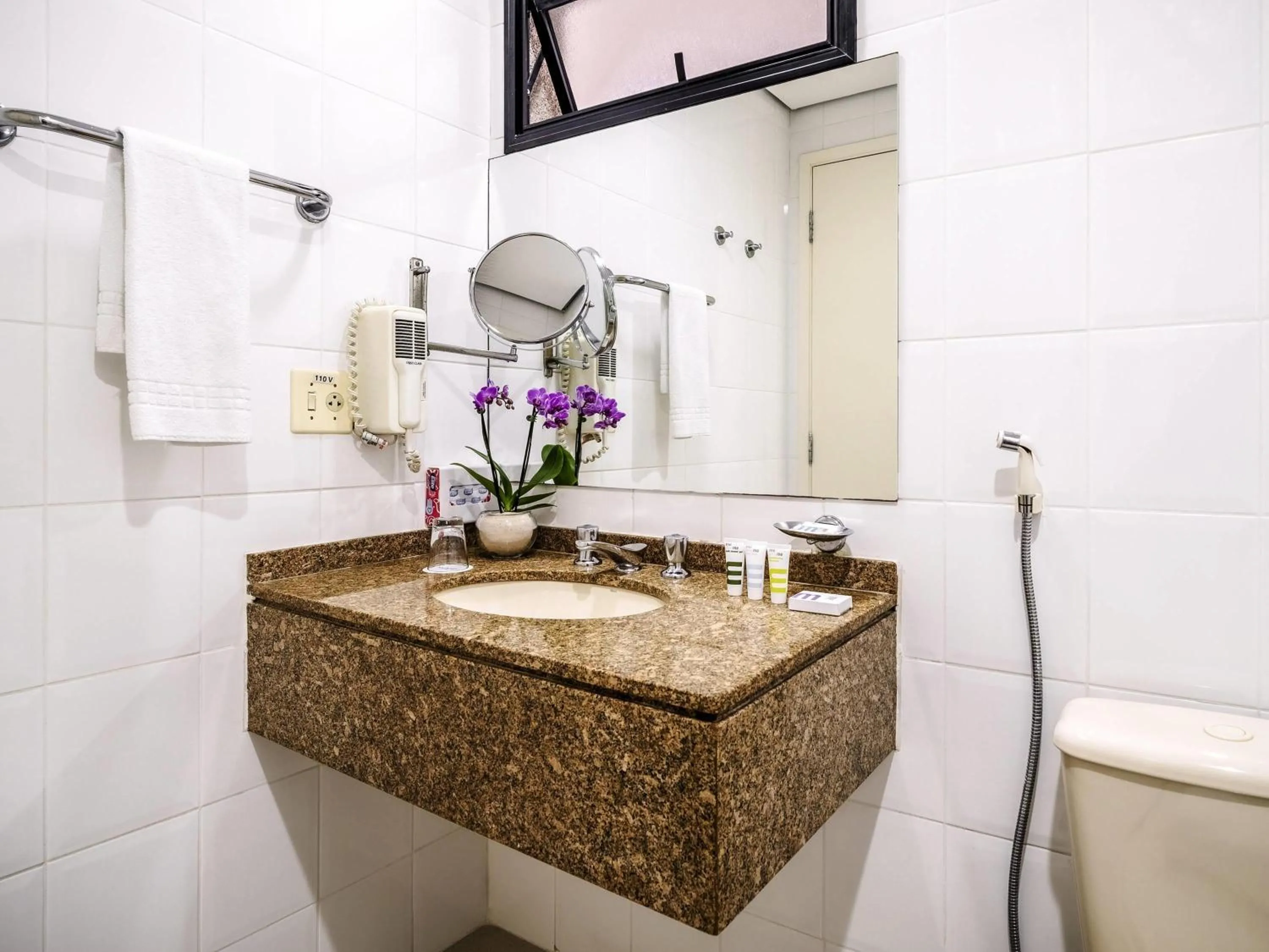 Standard Twin Room - single occupancy in Mercure Sao Paulo Moema