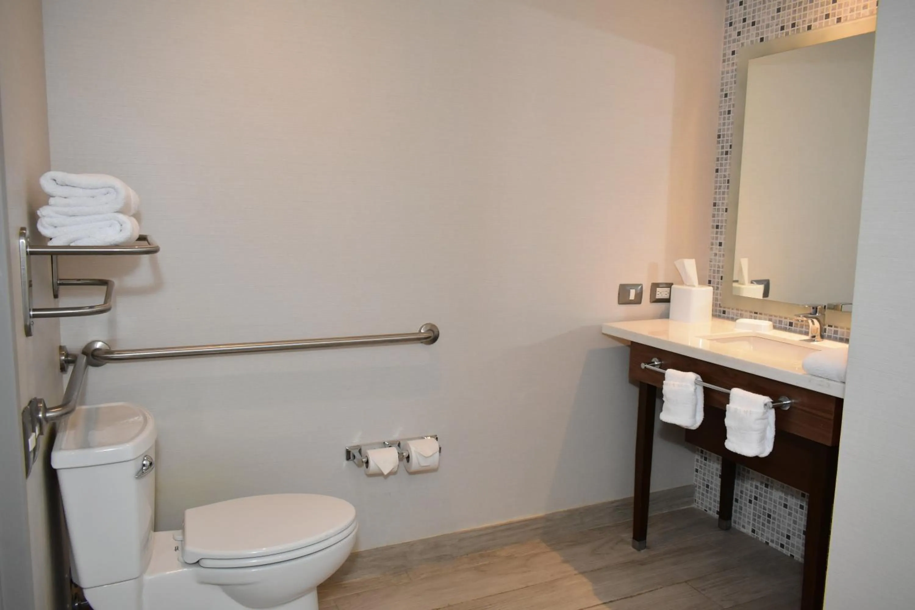 Queen Studio with Roll-In Shower - Mobility Access/Non-Smoking in Hampton Inn by Hilton Hermosillo