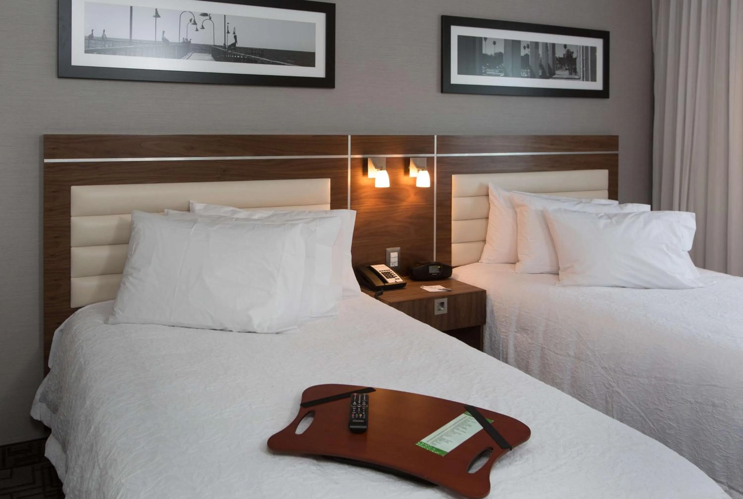 Standard Twin Room in Hampton Inn by Hilton Hermosillo