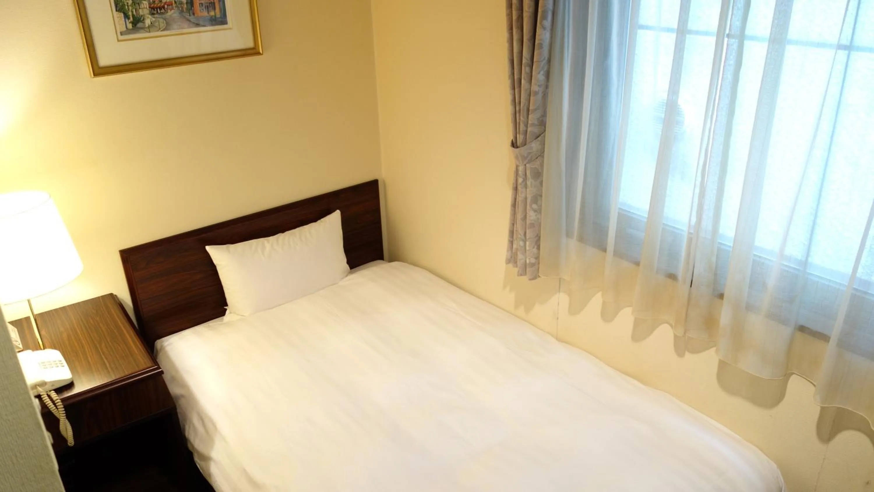 Single Room - Smoking in Hotel Green With