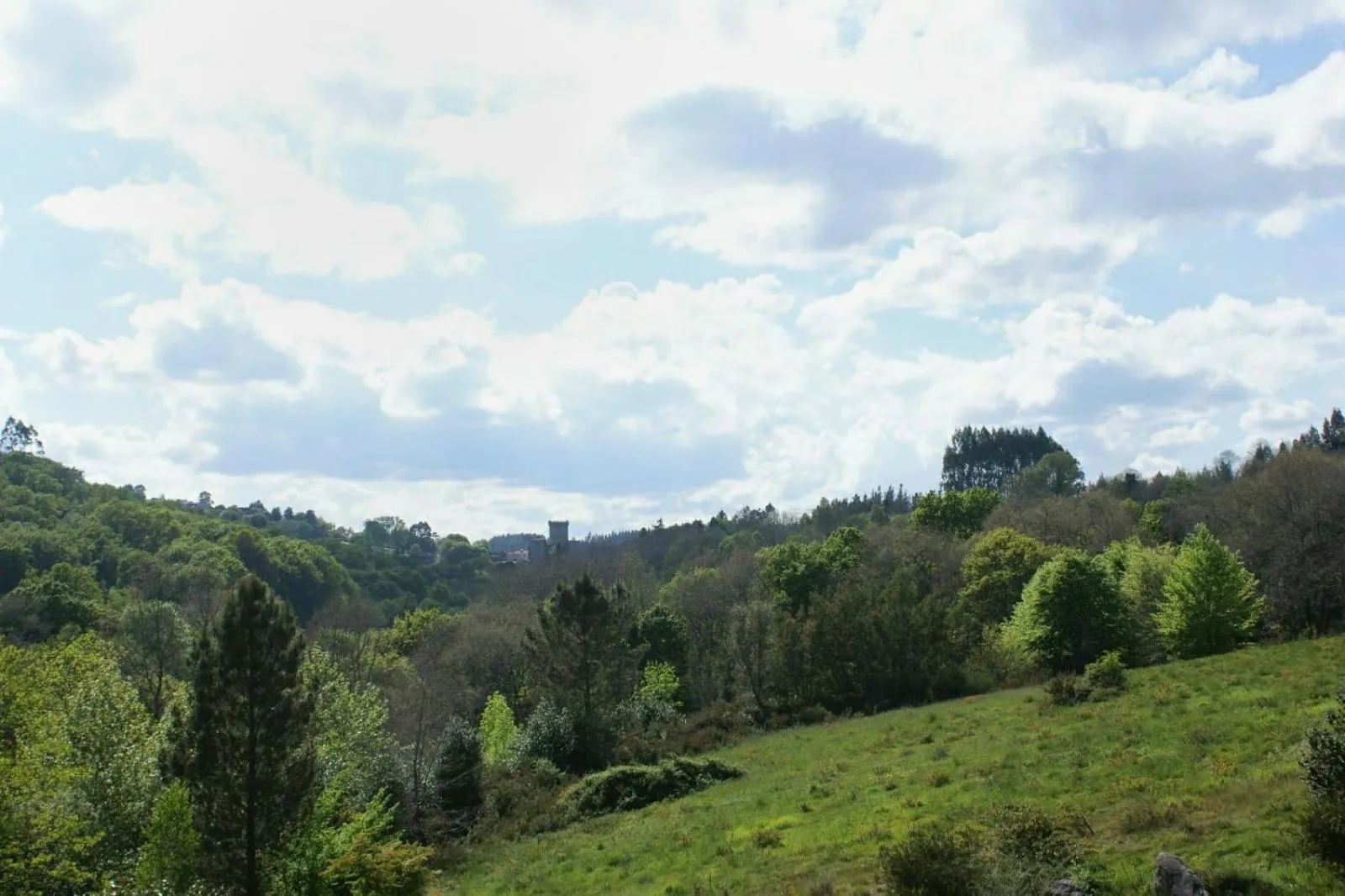 Deluxe Double Room with Castle View - single occupancy in Hotel Balneario Río Pambre