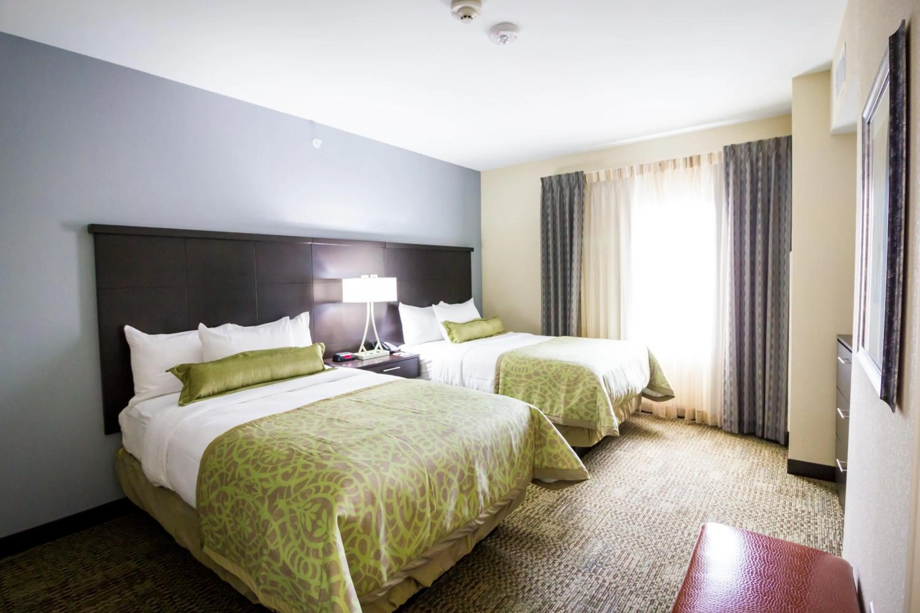 One-Bedroom Suite - Disability Access in Staybridge Suites Plano - Legacy West Area by IHG