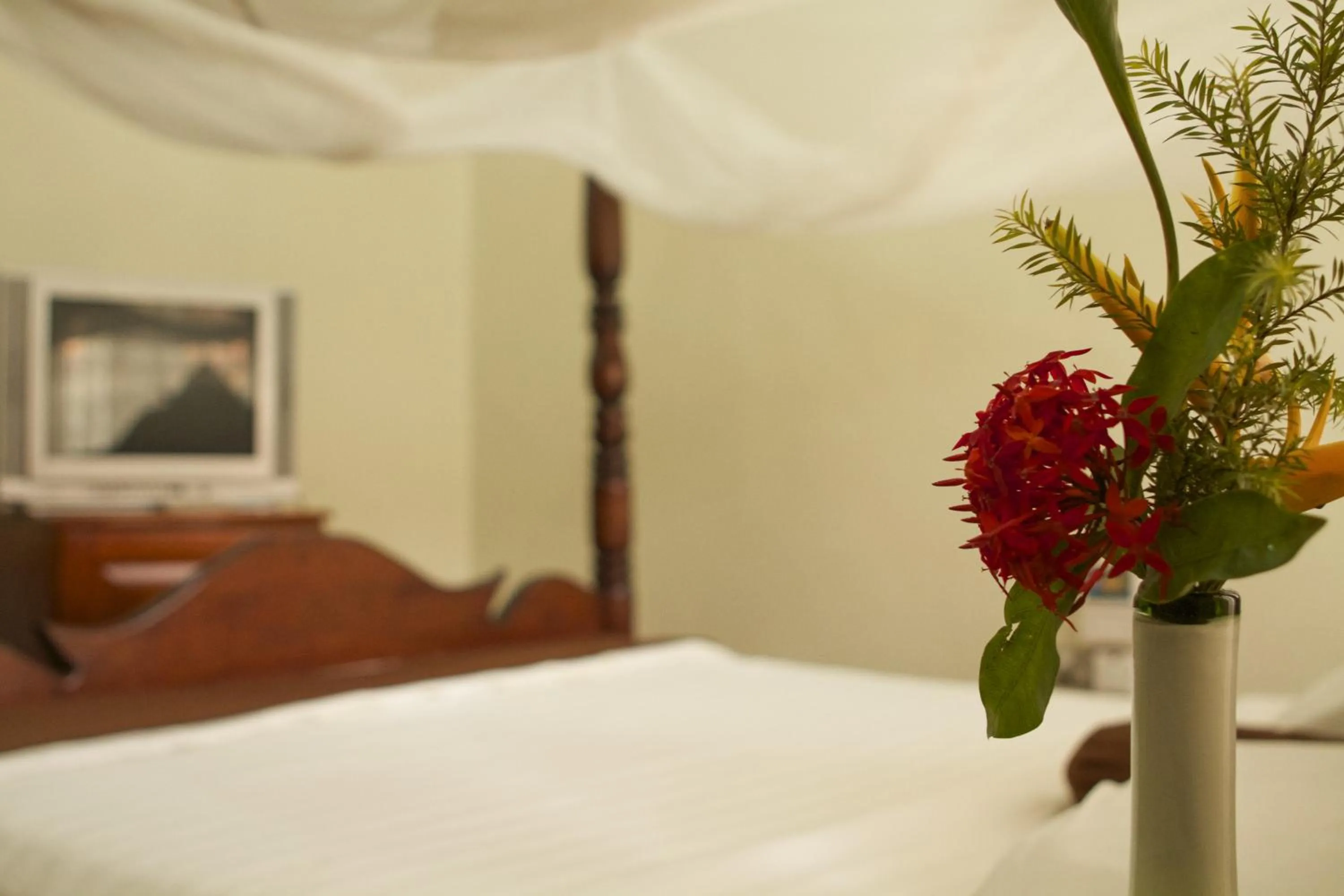 Deluxe Family Room - single occupancy in Olive Gardens Hotel Kampala