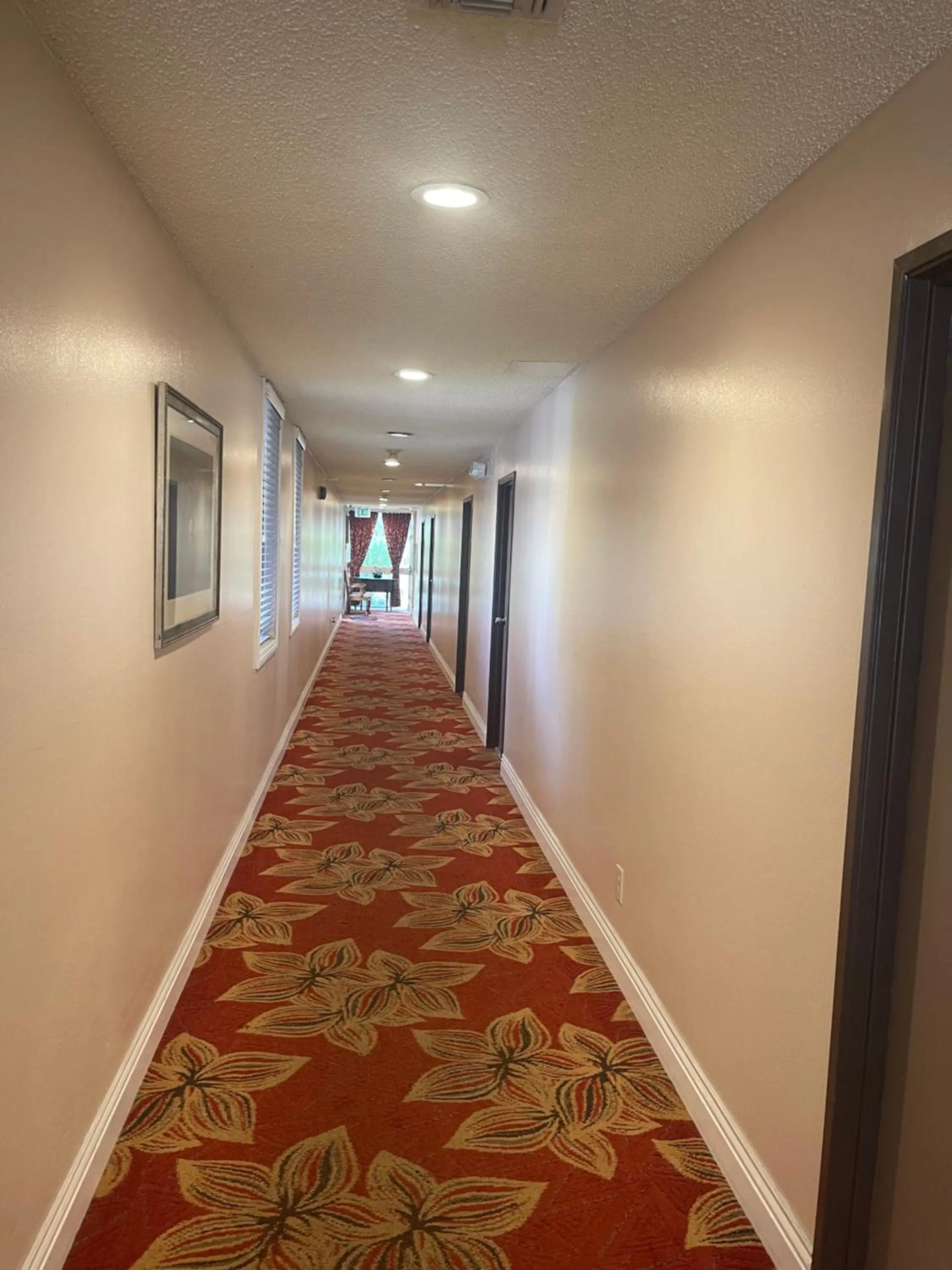 Deluxe Double or Twin Room in Hotel Pacific Garden