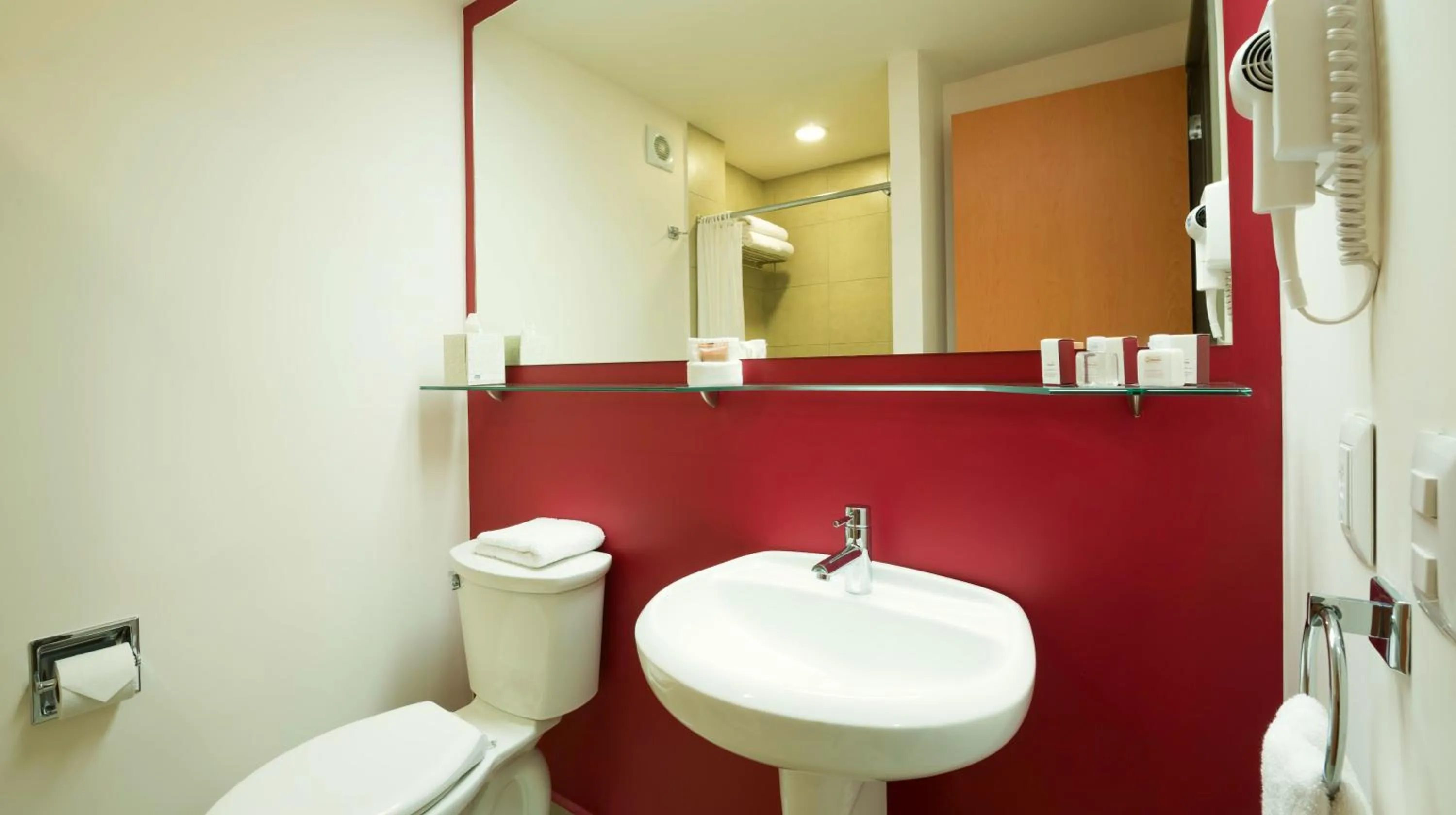 Dog Friendly Room in Mision Express Queretaro