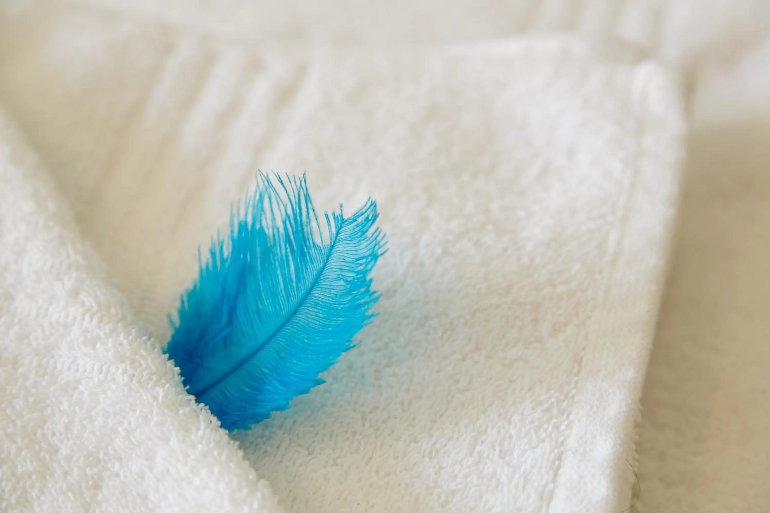 First Floor Two Single Beds Room - single occupancy in @Yamkela Guest House