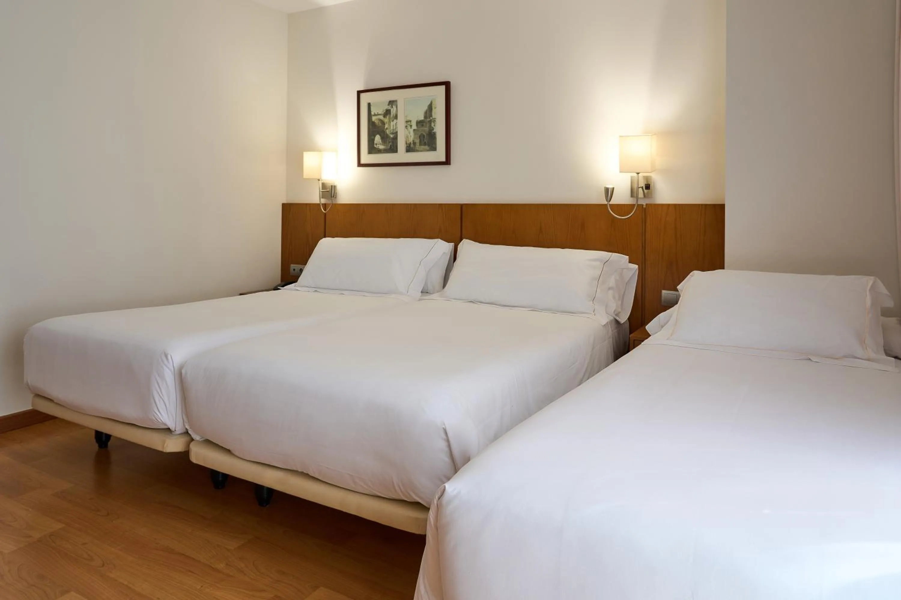 Twin Room with Extra Bed in Senator Granada