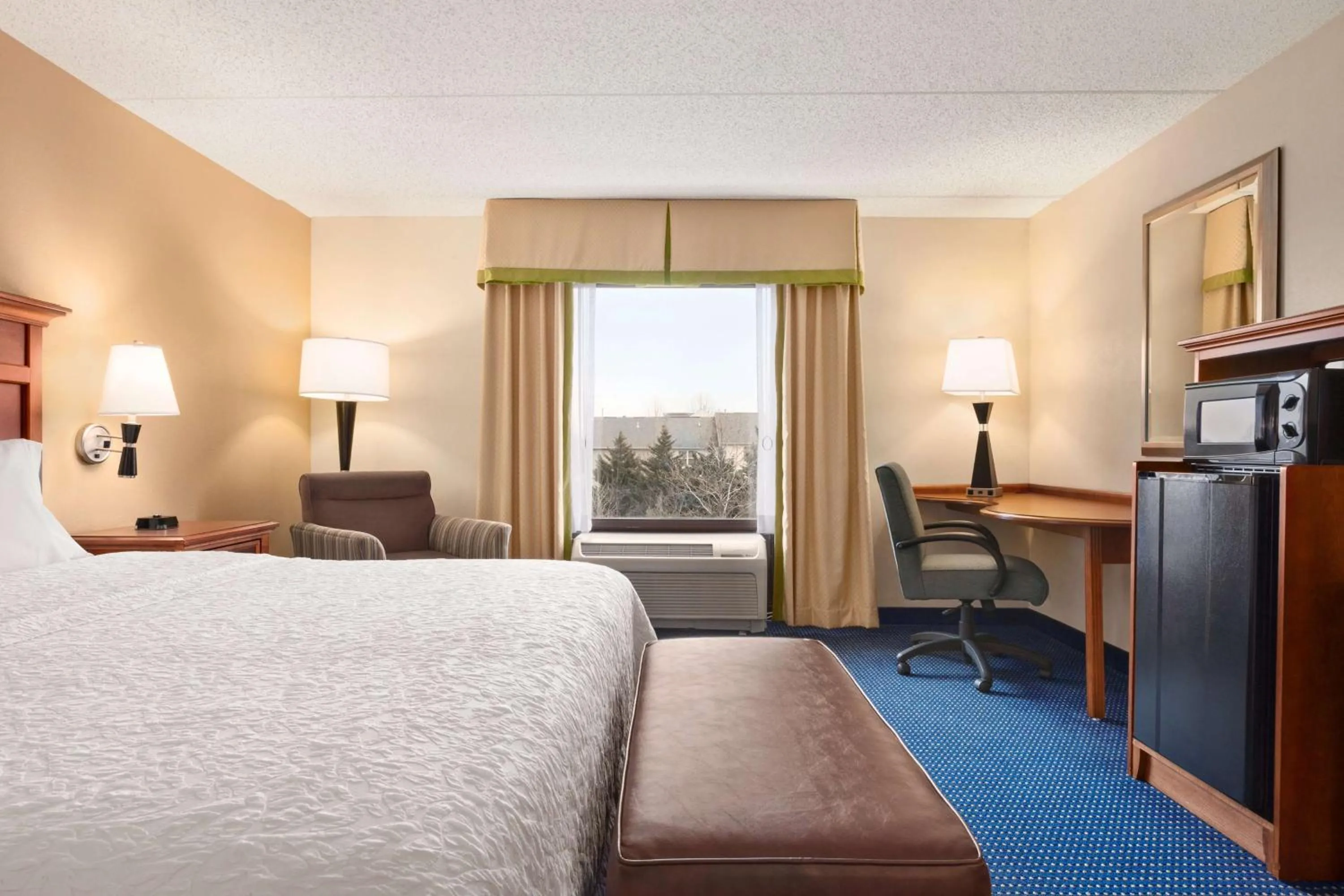 King Room with Accessible Tub - Mobility and Hearing Access/Non-Smoking in Hampton Inn Warrenton, Va