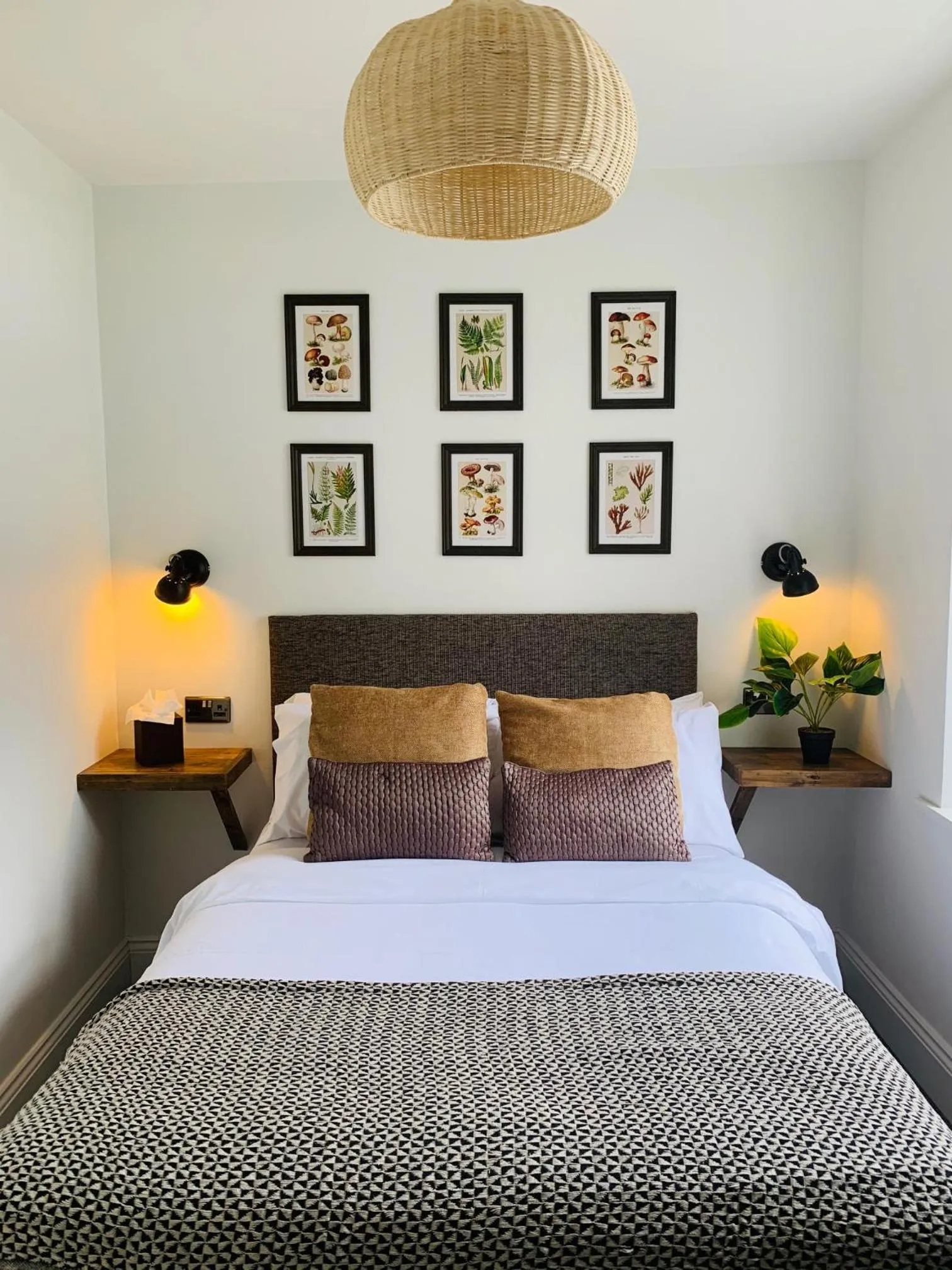 Quirky Double Room  in The Bath Hotel