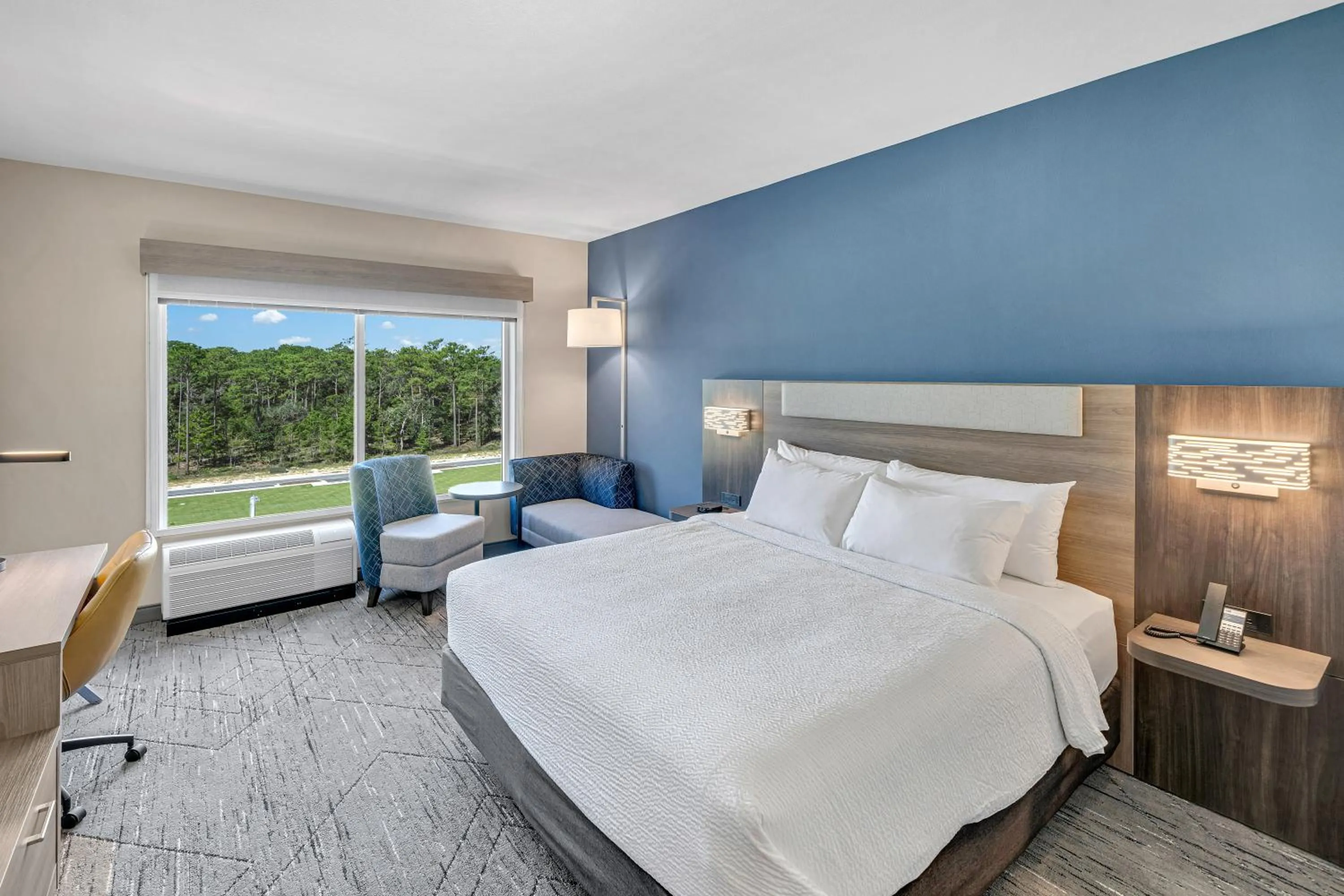 Standard King Room - single occupancy in Holiday Inn Express & Suites Fort Walton Beach - Eglin Area by IHG