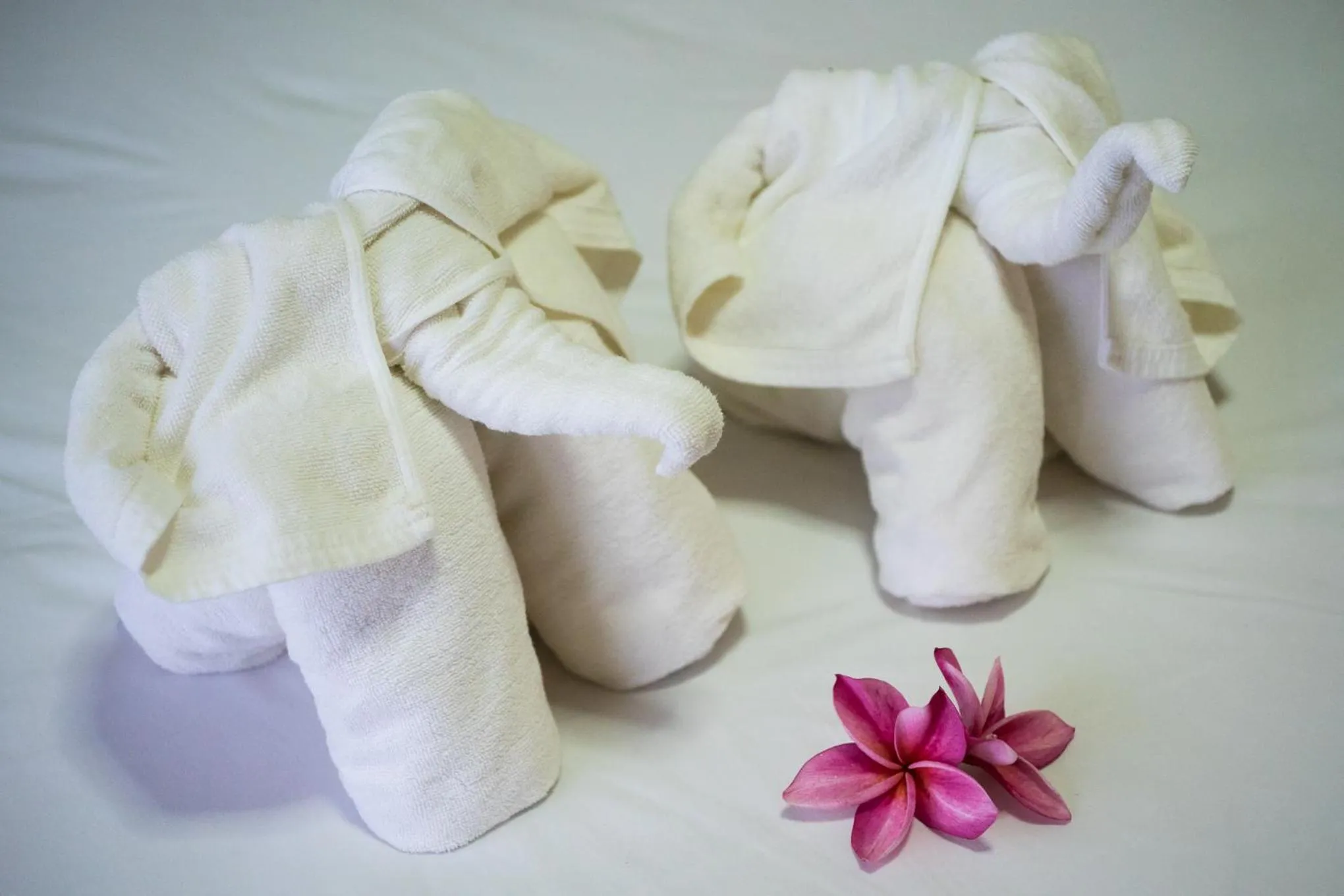 Family Bungalow in Phuchawee Lanta