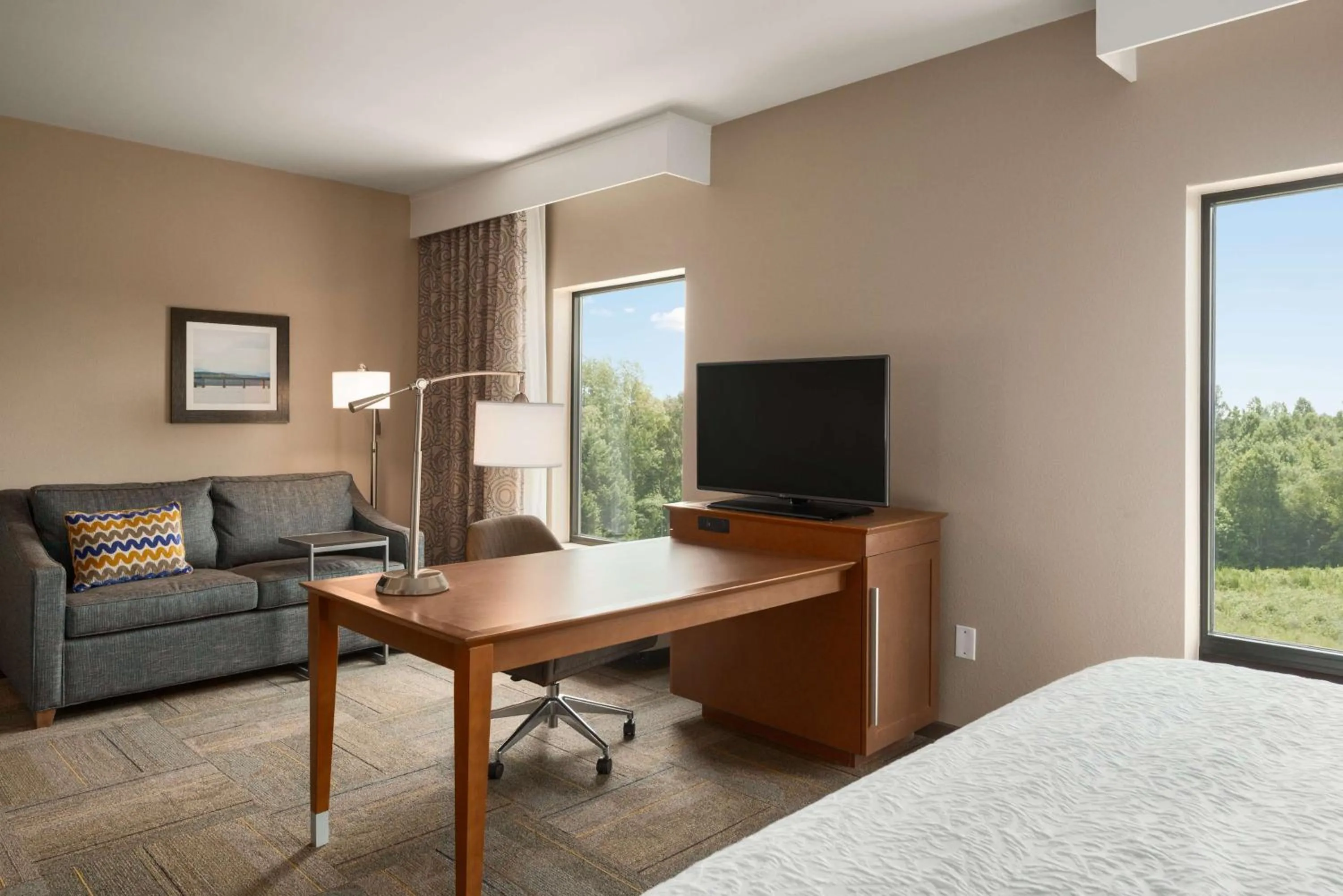 King Studio Suite in Hampton Inn & Suites - Lavonia, GA