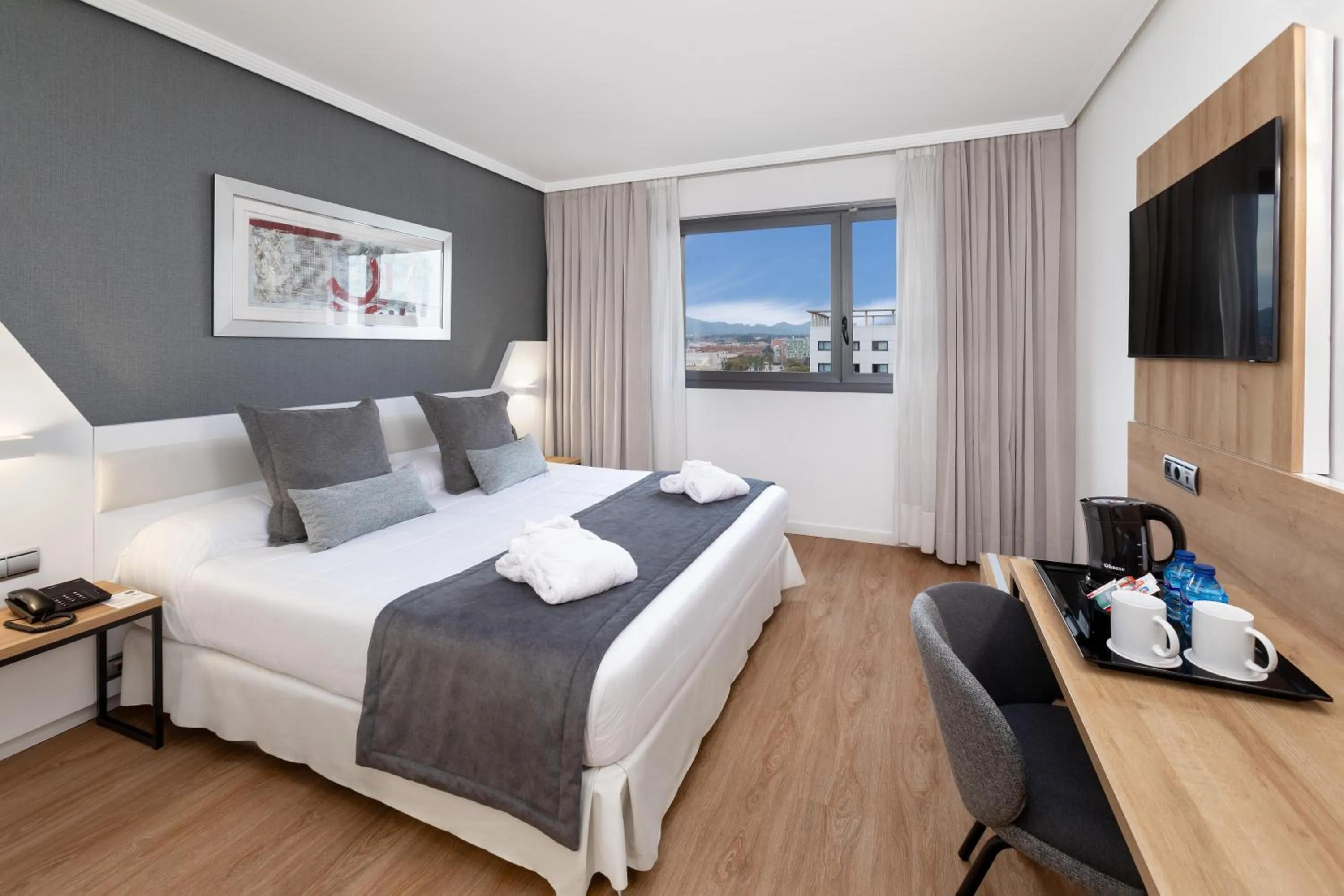 EXECUTIVE Room in Alexandre Hotel Frontair Congress