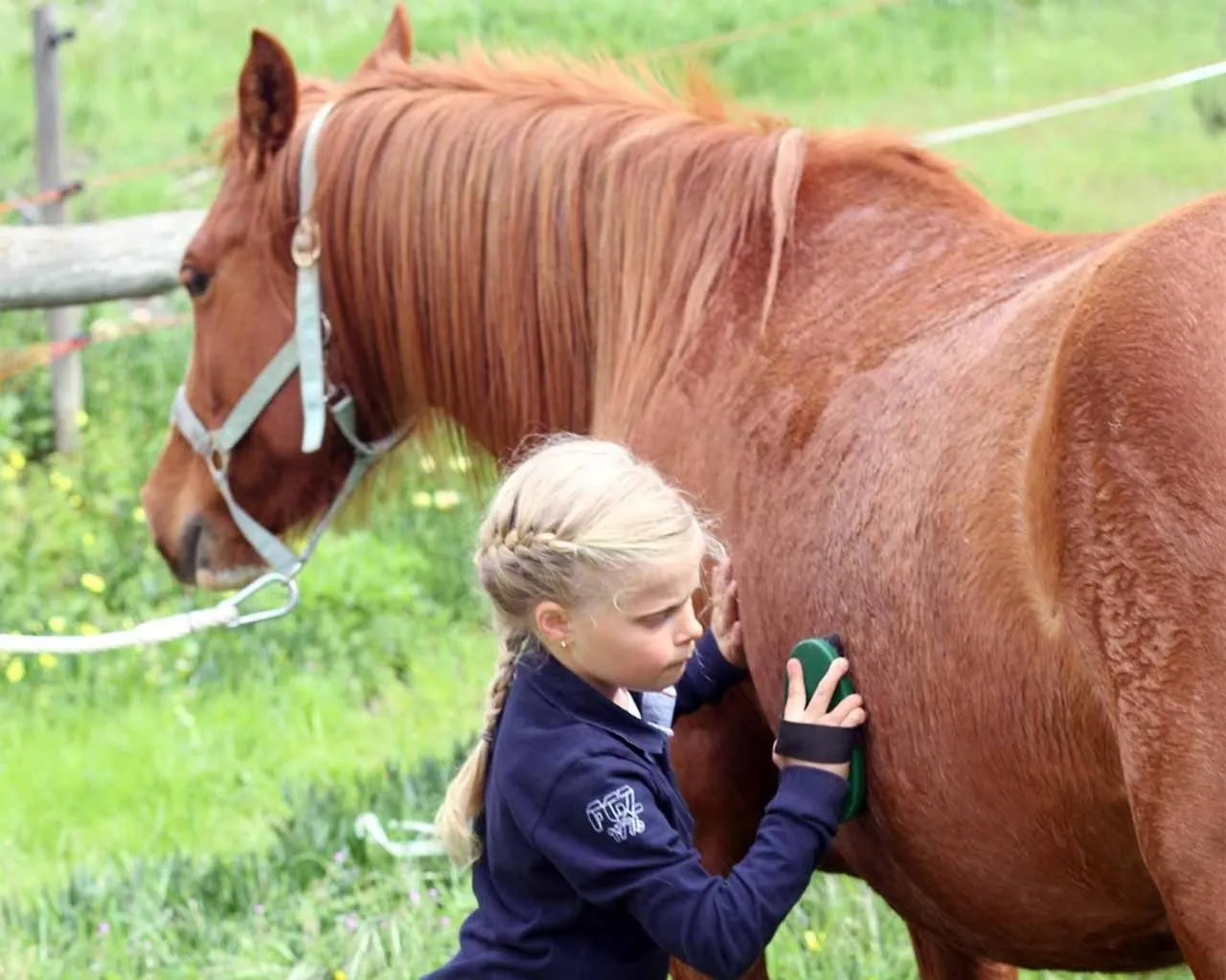Quinta Pedagógica da Samoqueirinha - Duna Parque Resorts & Hotels