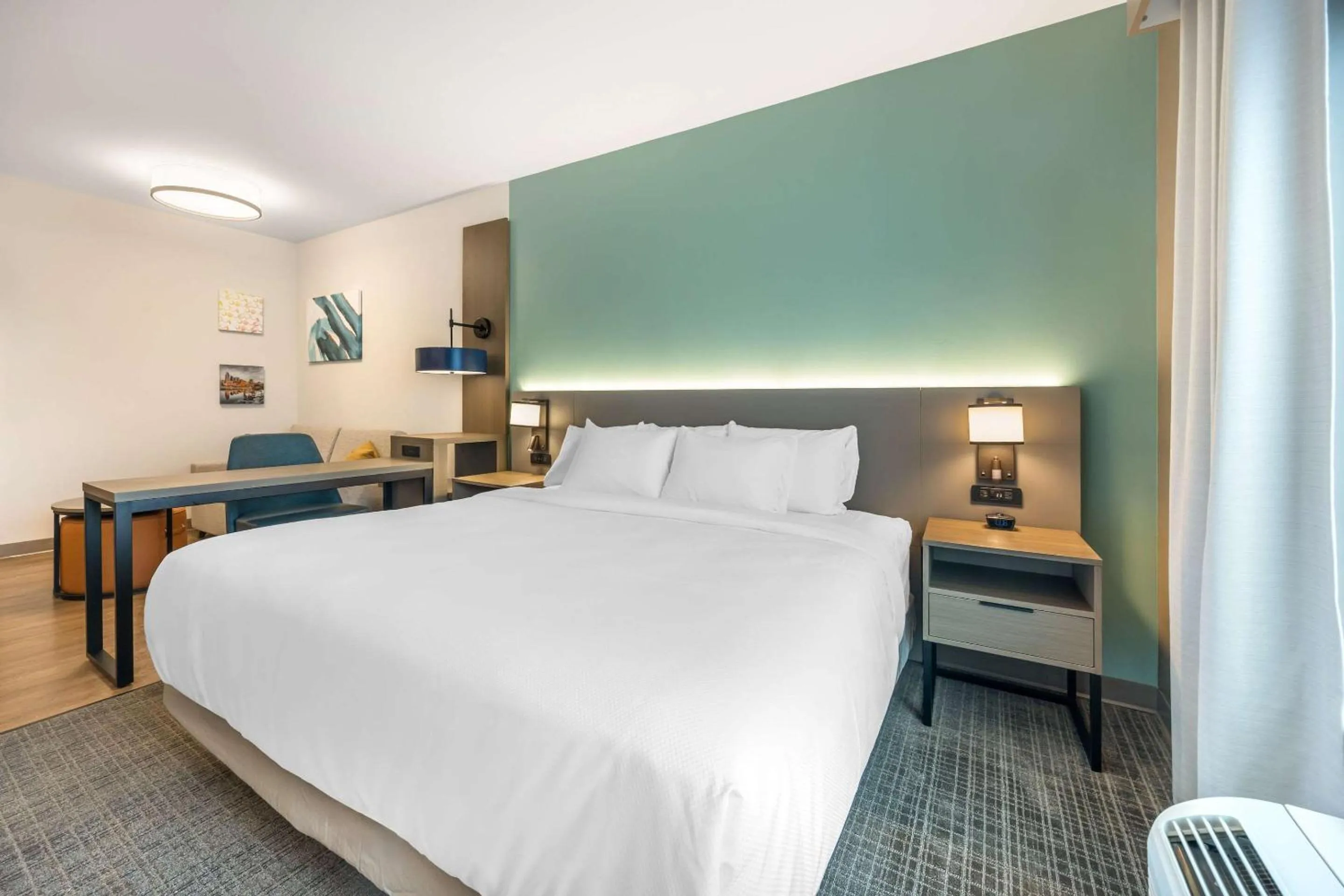 Efficiency King Suite with Roll-In Shower - Disability Access/Non Smoking in Comfort Inn & Suites Nashville