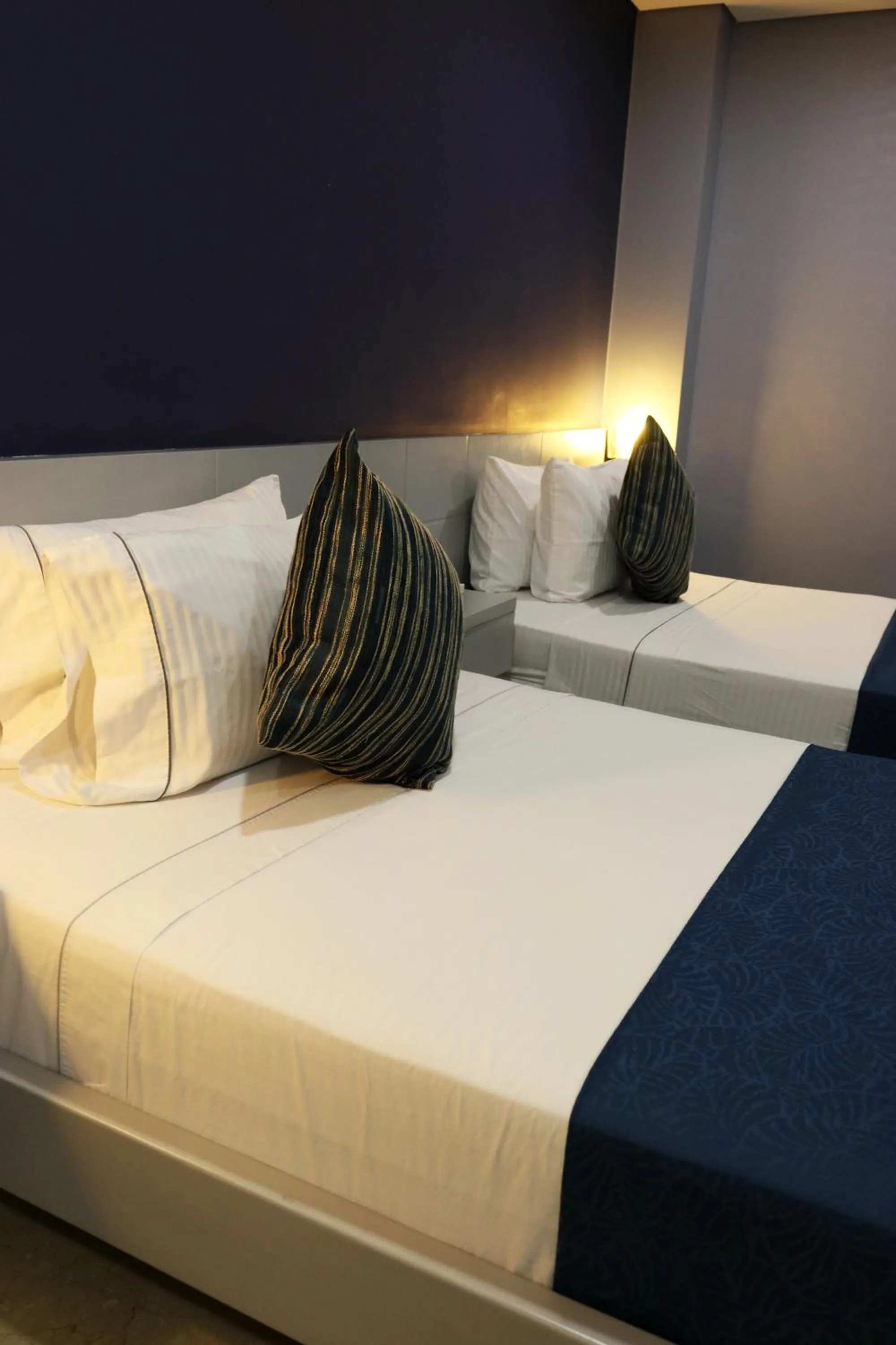 Twin Room in Hotel Lleras 10