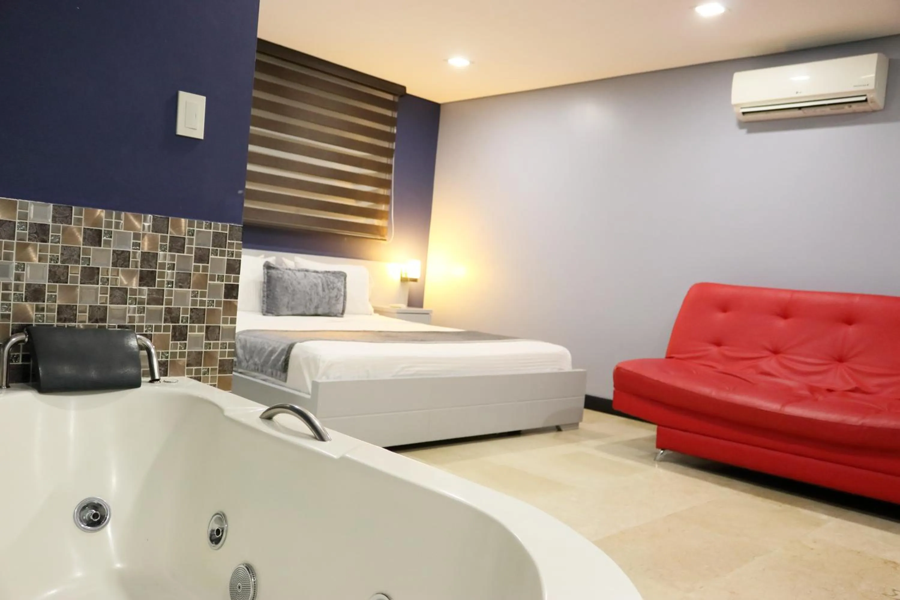 Deluxe Junior Suite in Hotel Lleras 10