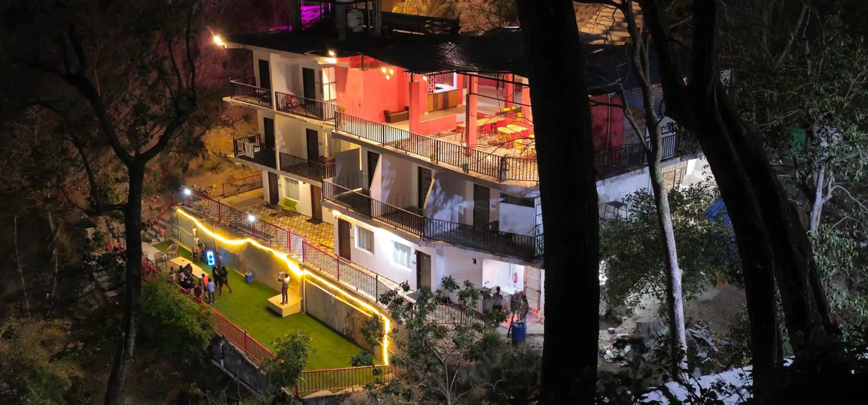 Cloud Forest Cloud Forest