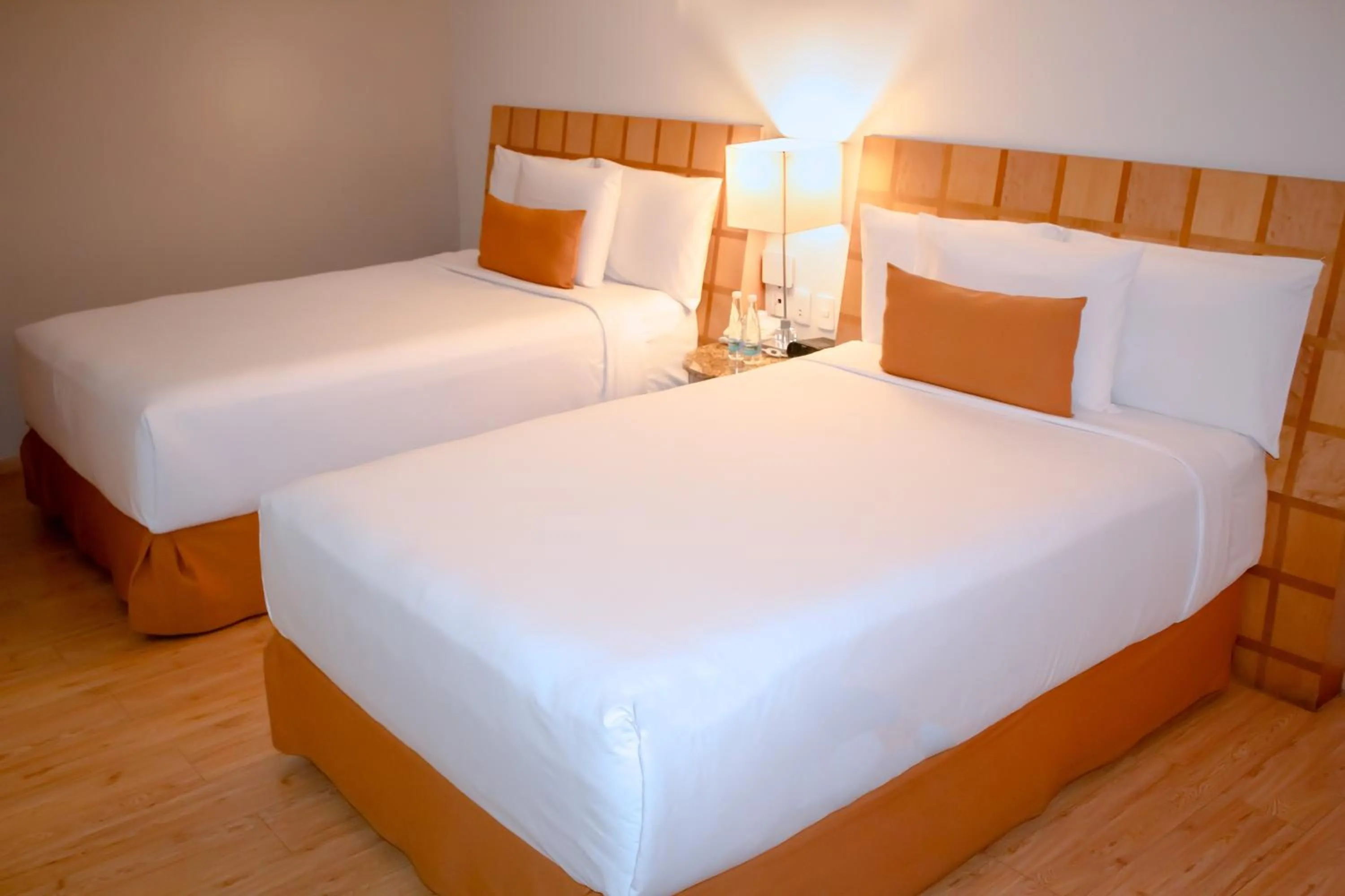 Deluxe  Room with Two beds in Alteza Polanco