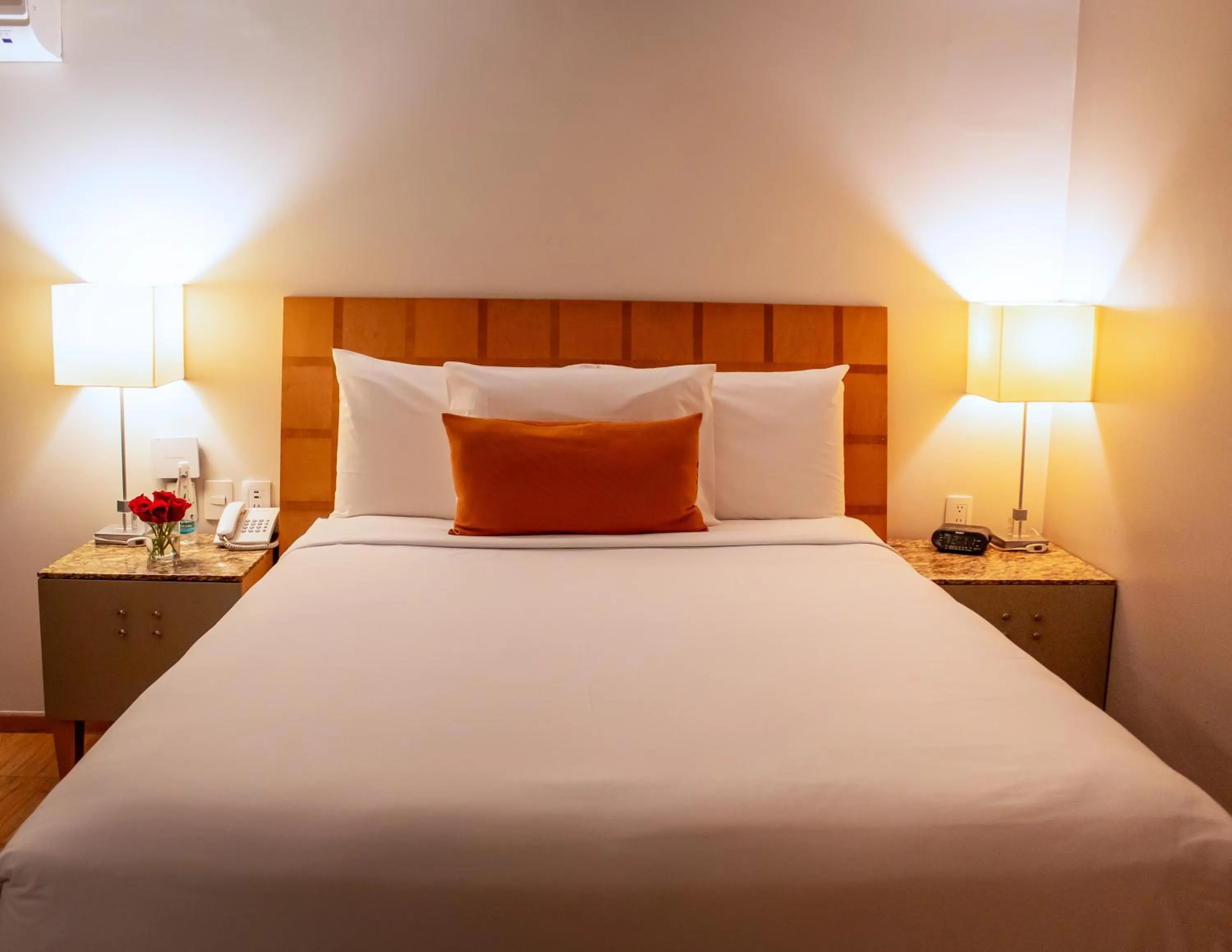 Suite in Alteza Polanco