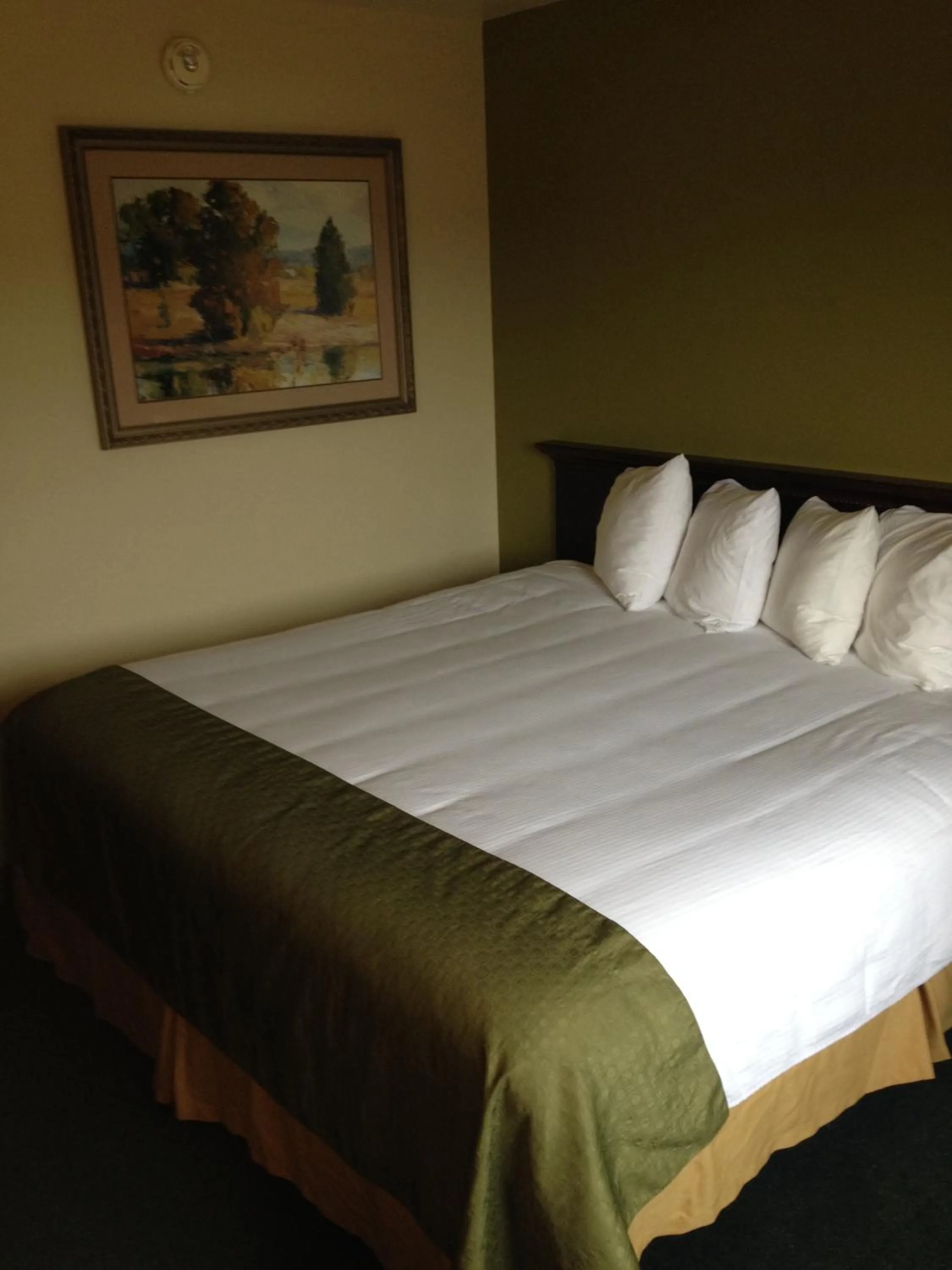 Studio Suite with 1 King Bed, Non-Smoking in Super 8 by Wyndham McCall