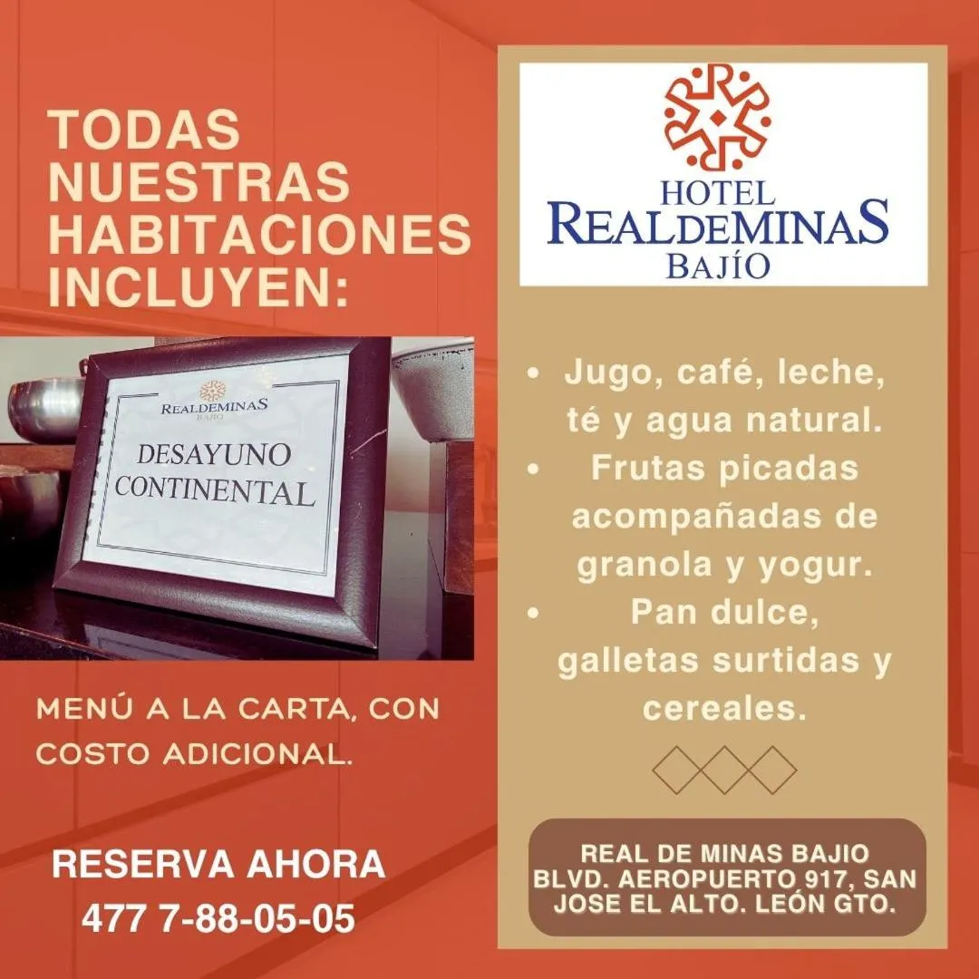 Executive Double Room in Hotel Real de Minas Bajio