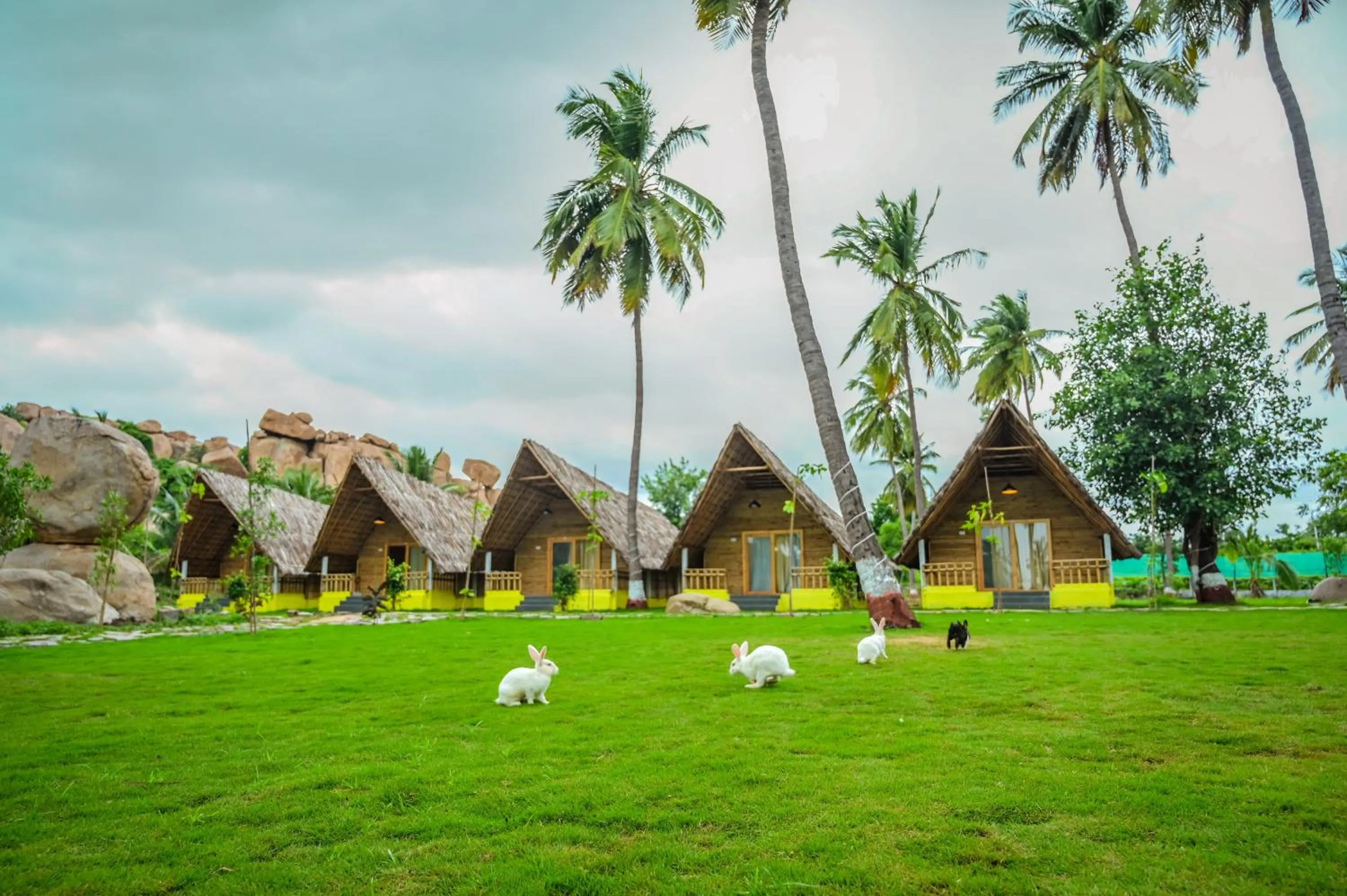 Tamarind Tree Way Side Amenities