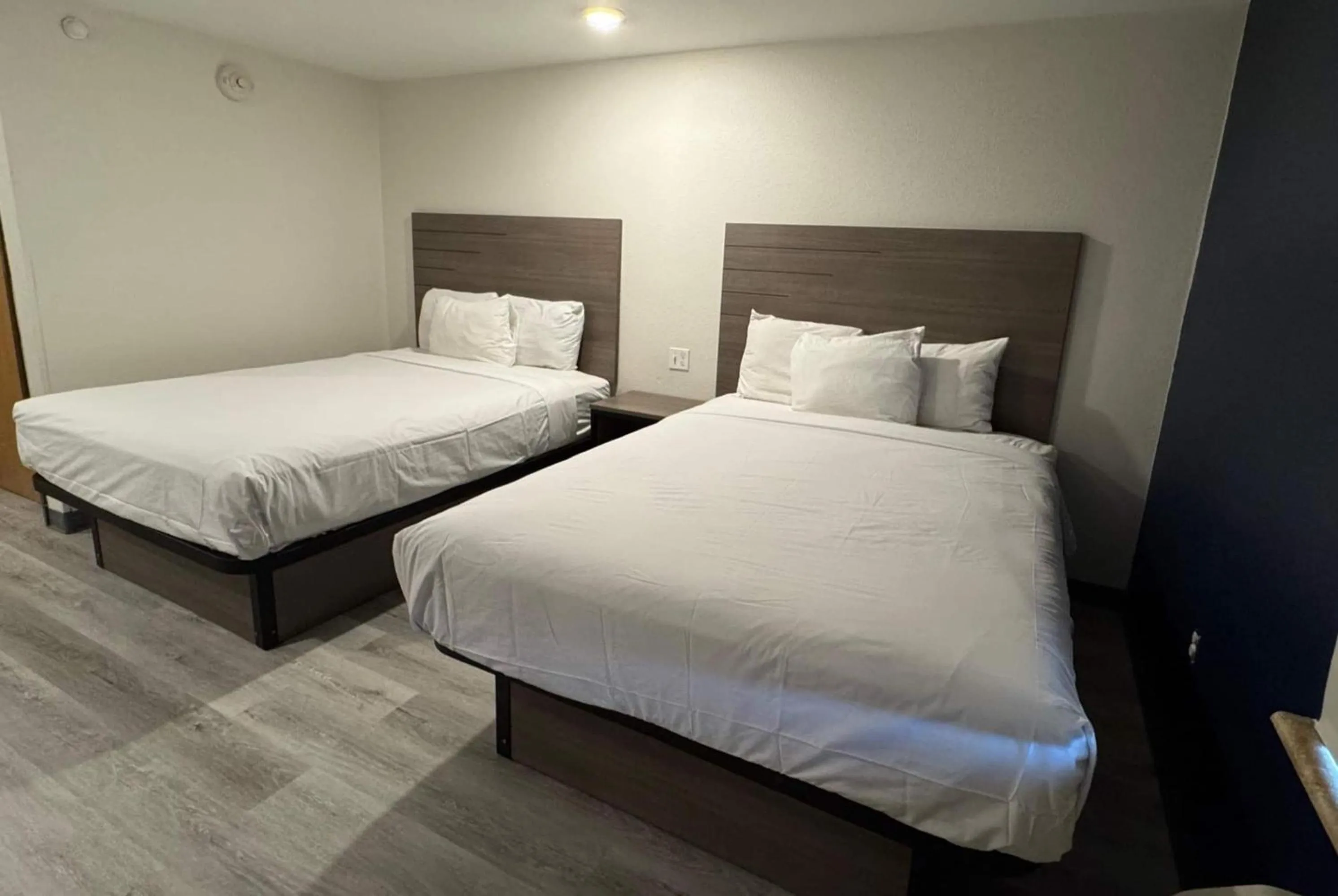 Studio with Two Queen Beds - Non-Smoking in Baymont by Wyndham Dickinson