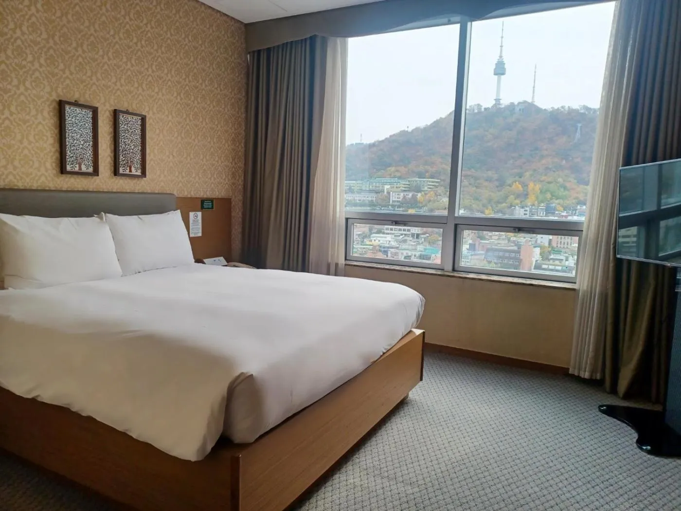 Suite in Migliore Hotel Seoul Myeongdong