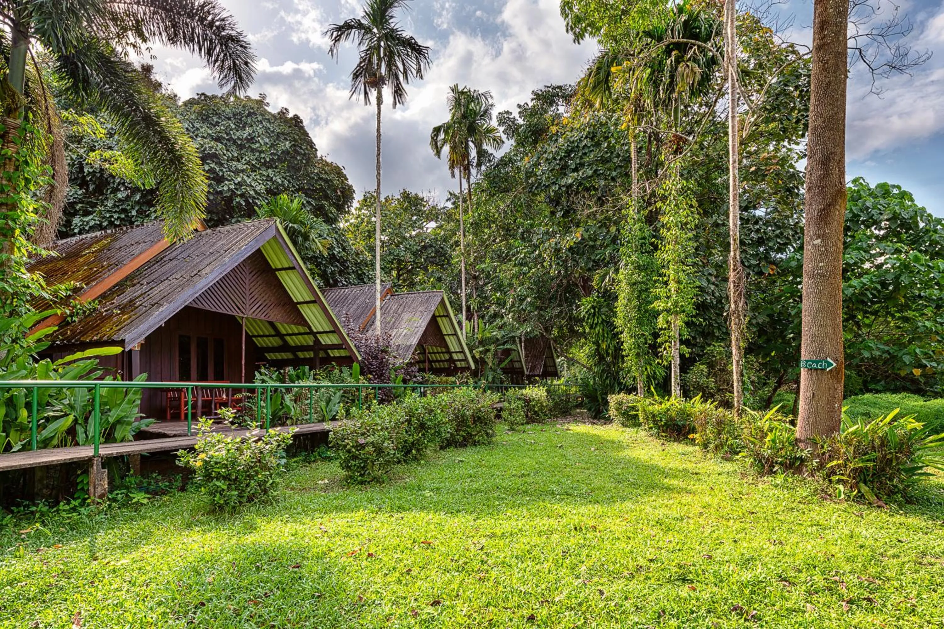 Deluxe Room in Khao Sok Riverside Cottages