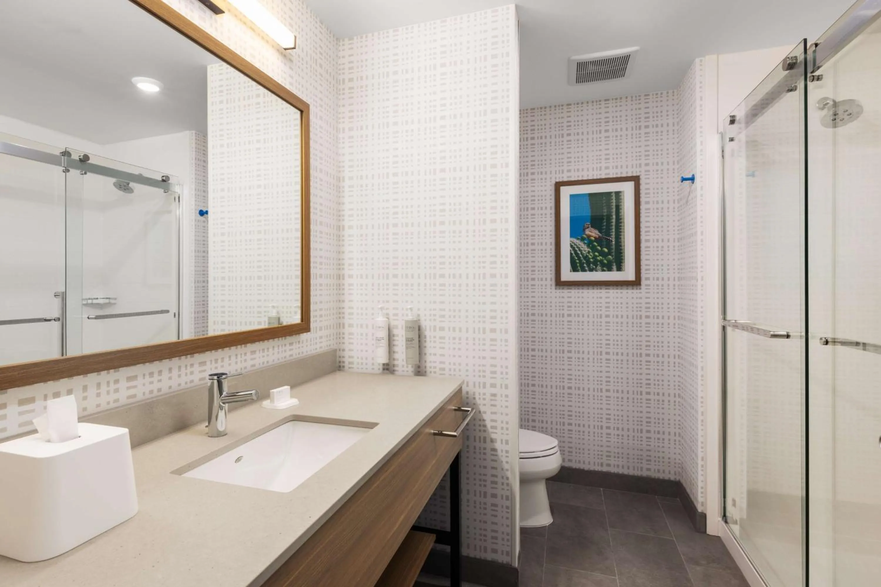 King Studio with Sofa Bed - Hearing Accessible in Hampton Inn & Suites Cottonwood, Az