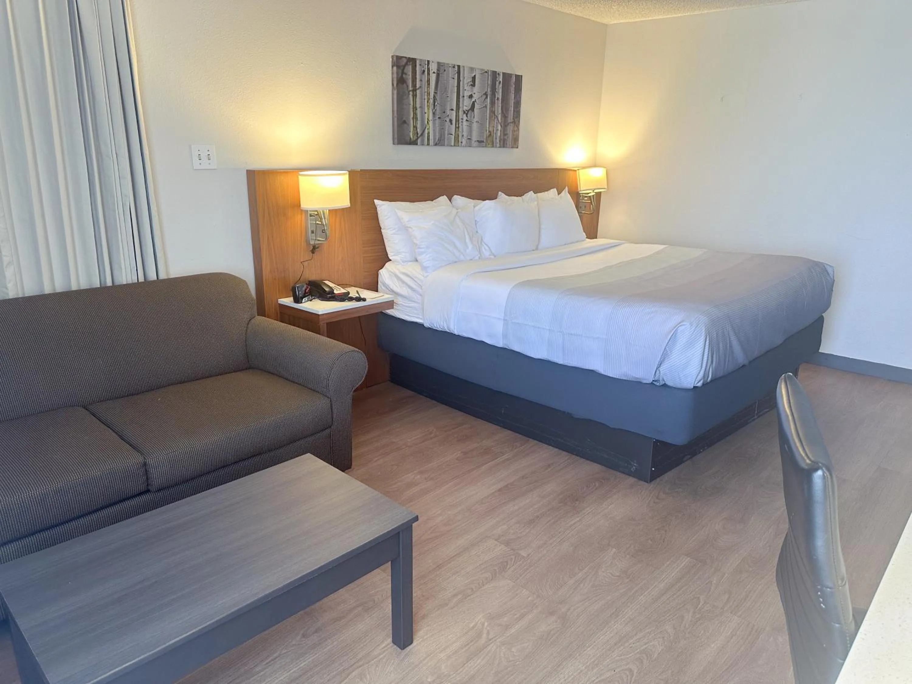 Standard King Room - Non-Smoking  in Quality Inn & Suites Fort Collins East