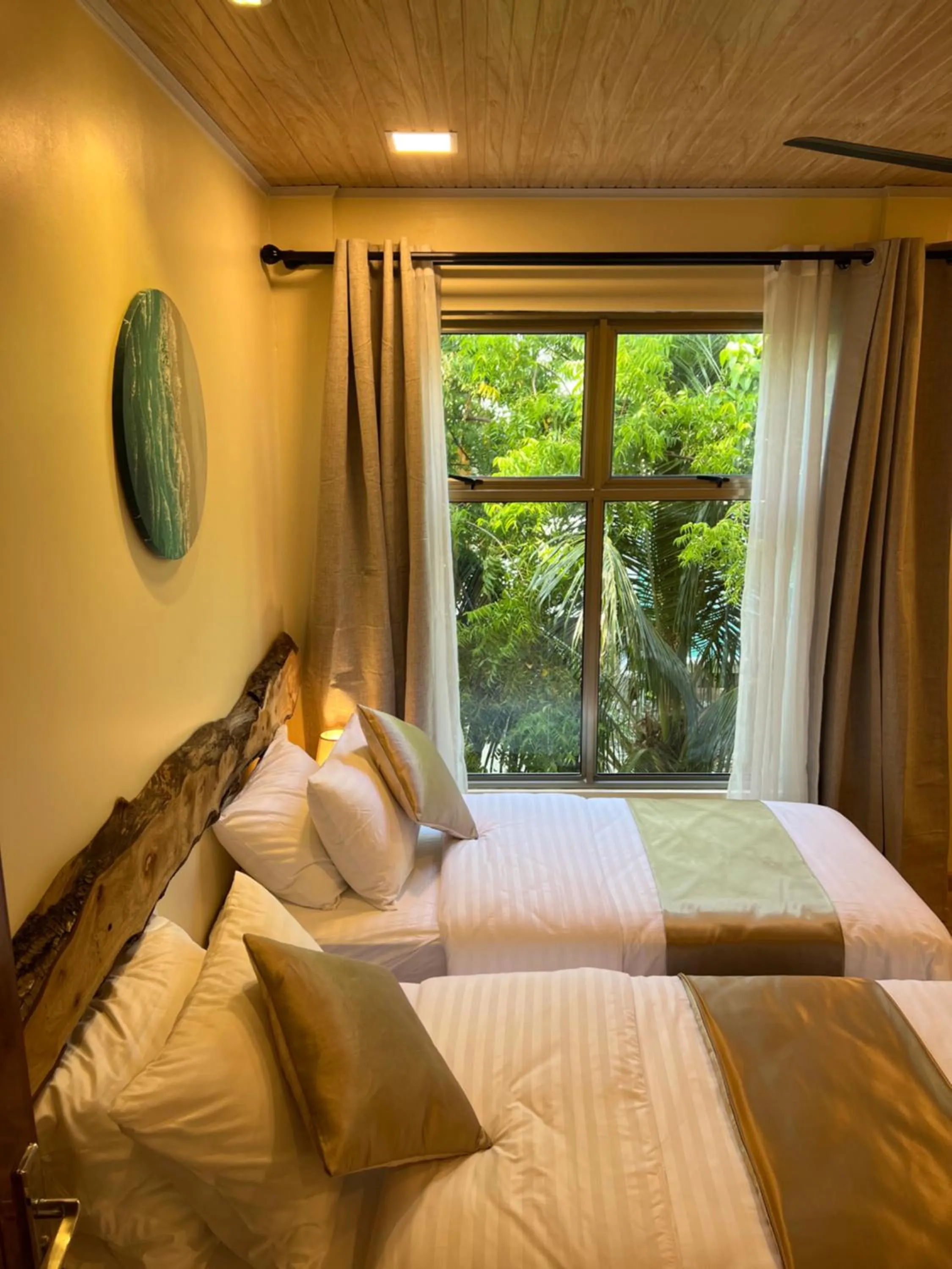 Superior Double Room - single occupancy in Holiday Home Dhiffushi