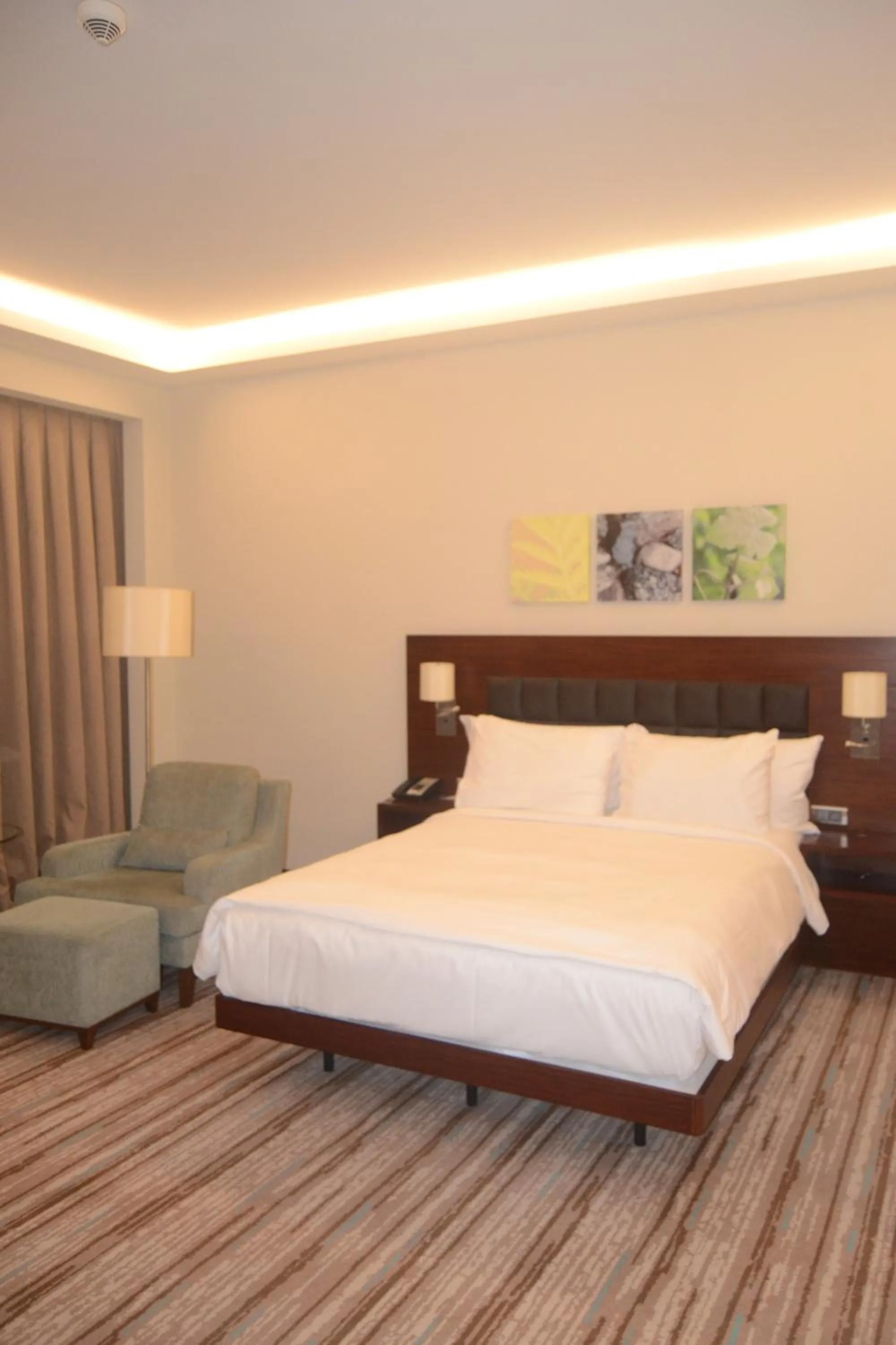 Queen Room - Mobility Access in Hilton Garden Inn Corlu