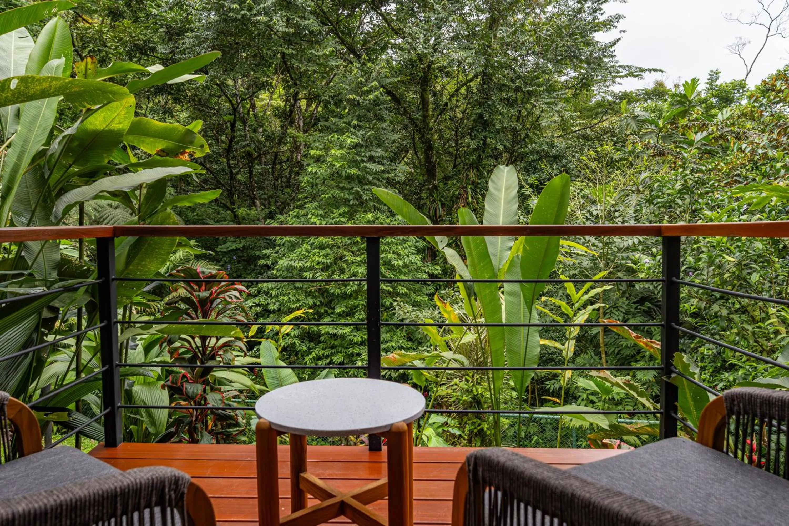 Tropical Forest Bungalow in Tifakara Boutique Hotel & Birding Oasis