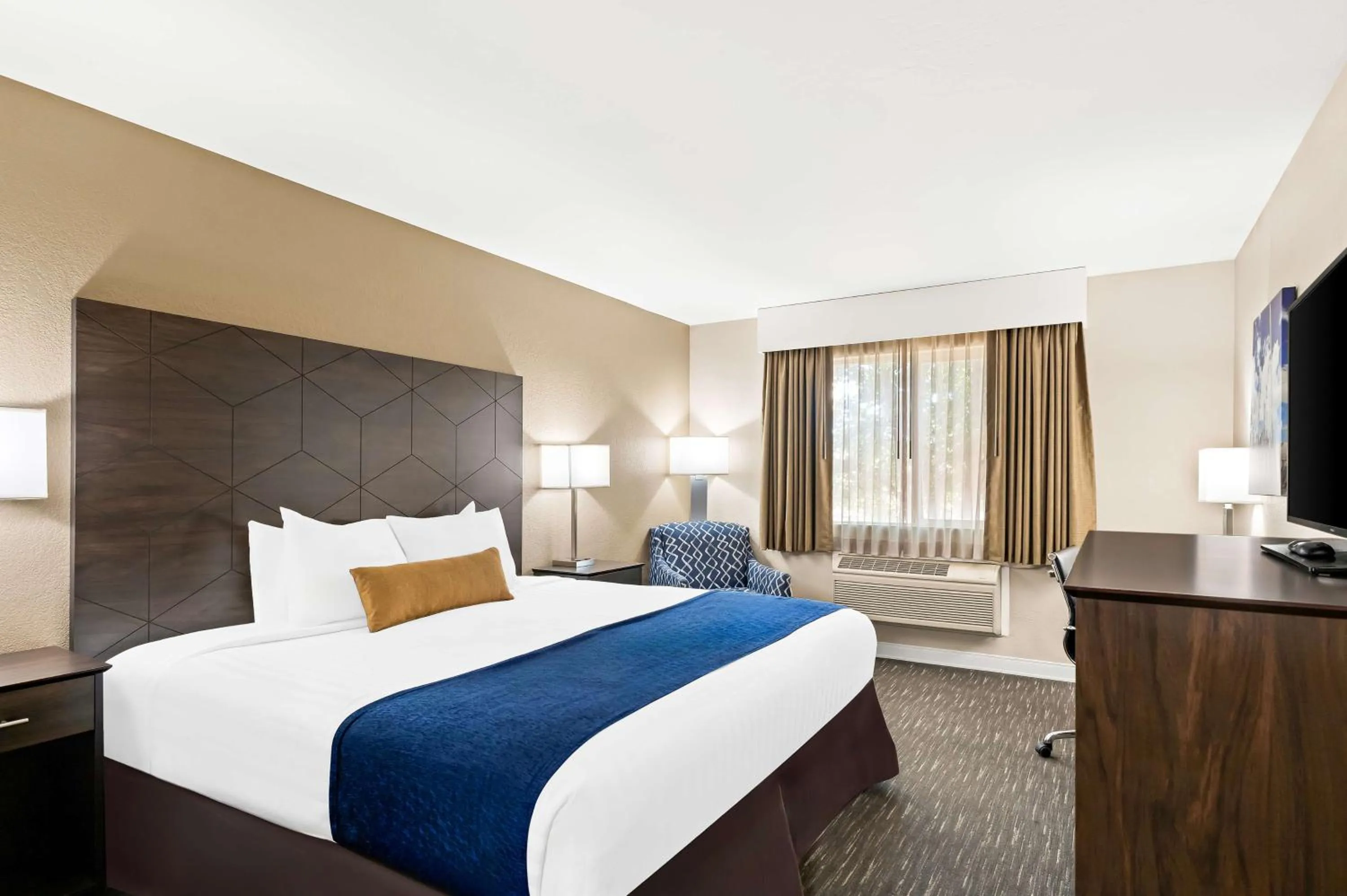 King Room with Roll-In Shower - Disability Access in Best Western Snowflake Inn