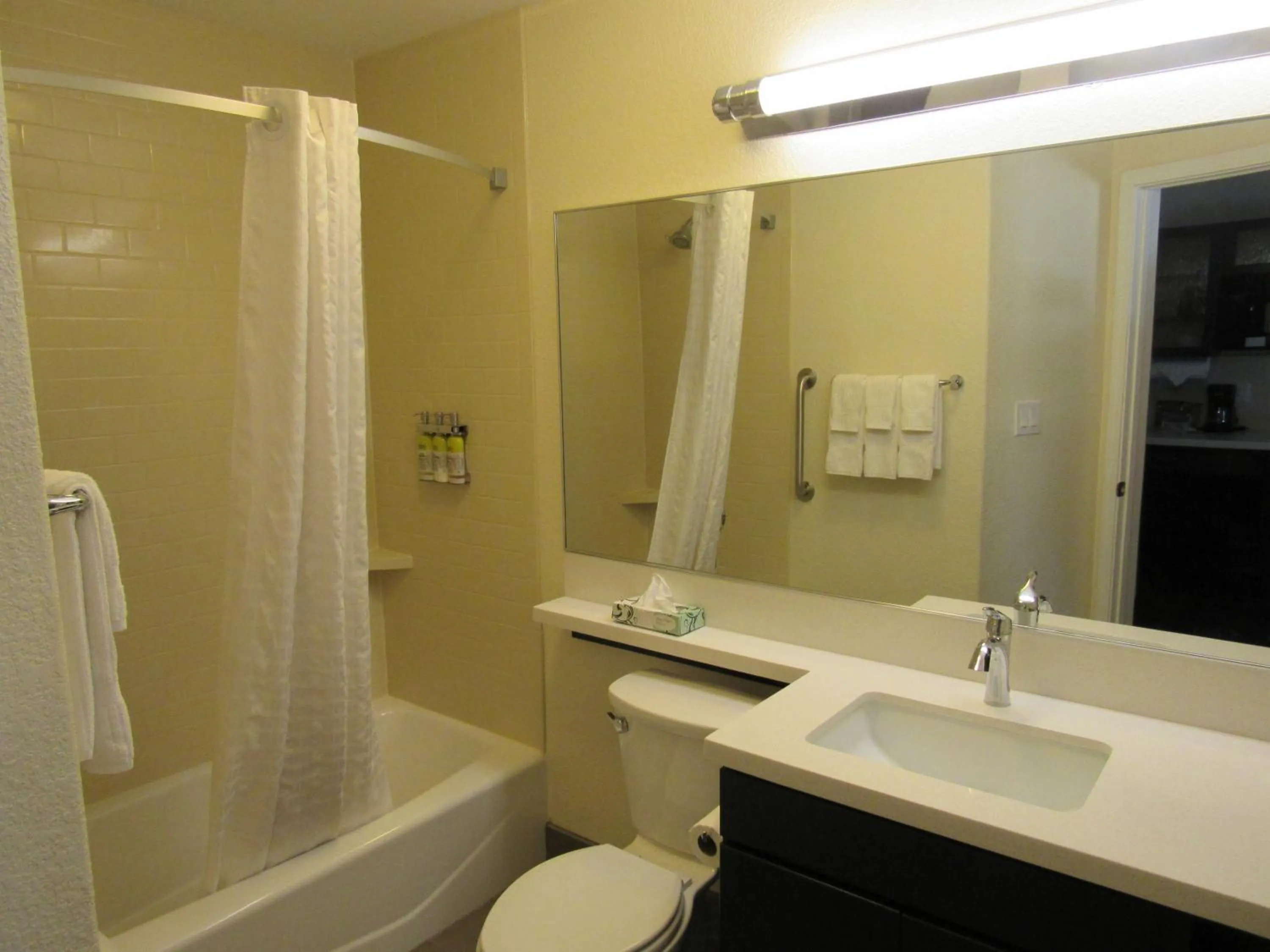 Queen Studio - Disability Access in Candlewood Suites Cotulla by IHG