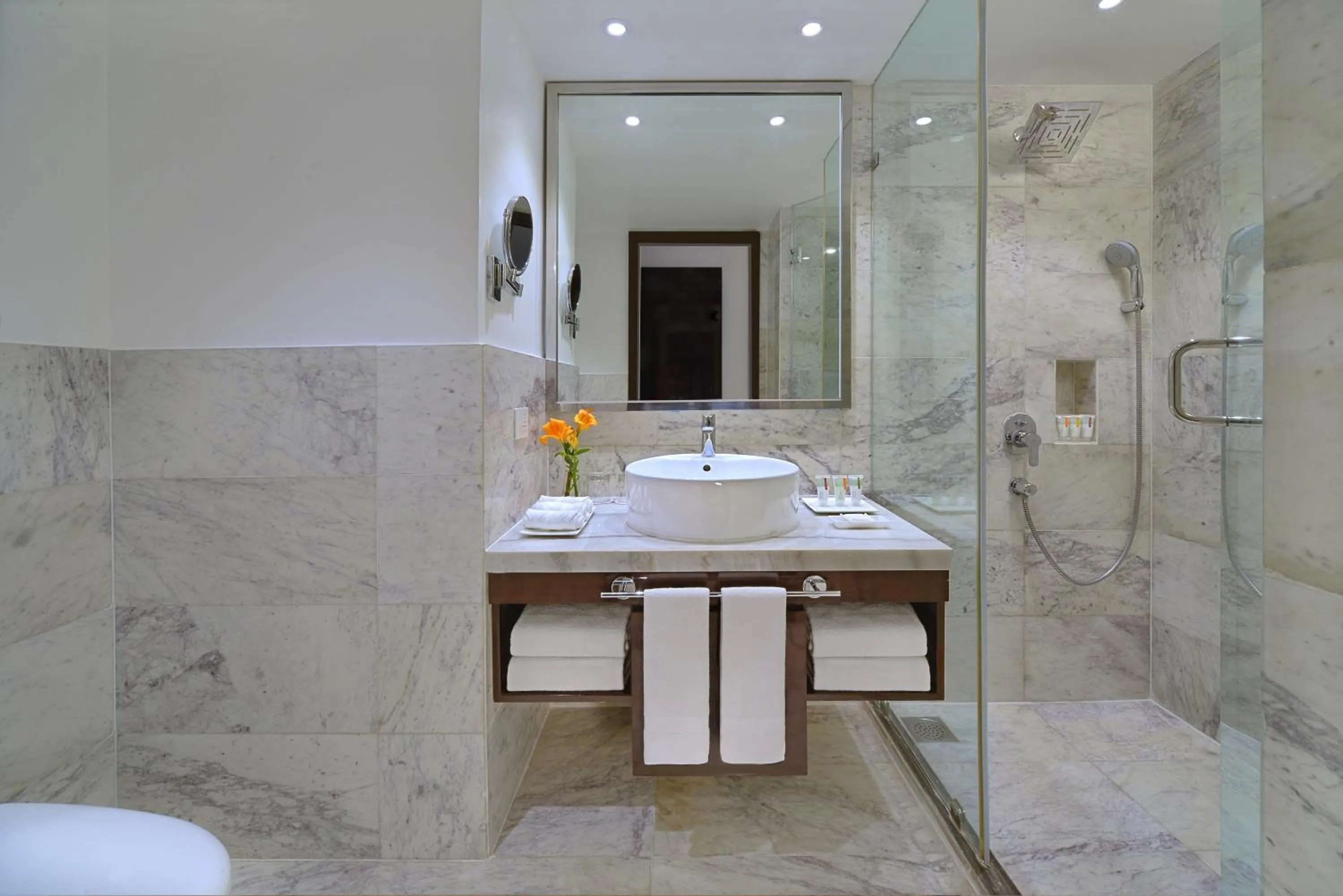 Executive Room Taj Mahal View in Radisson Hotel Agra