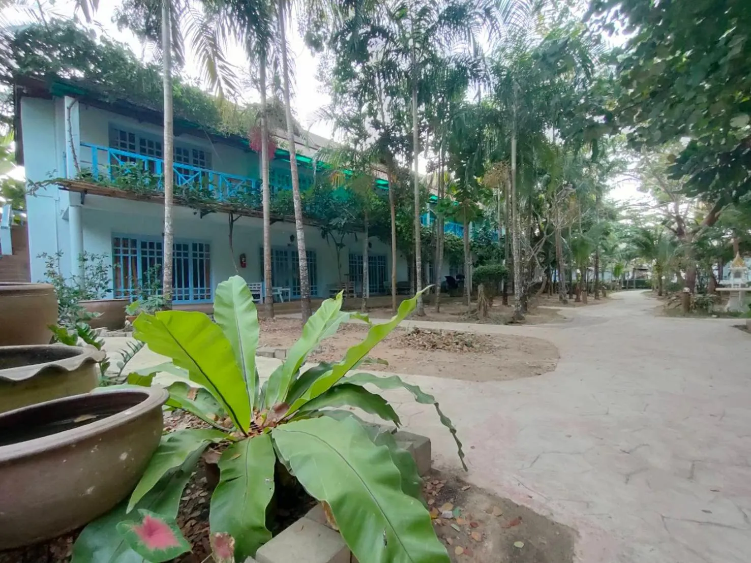 Family Room Garden View  - single occupancy in Banana Beach Resort