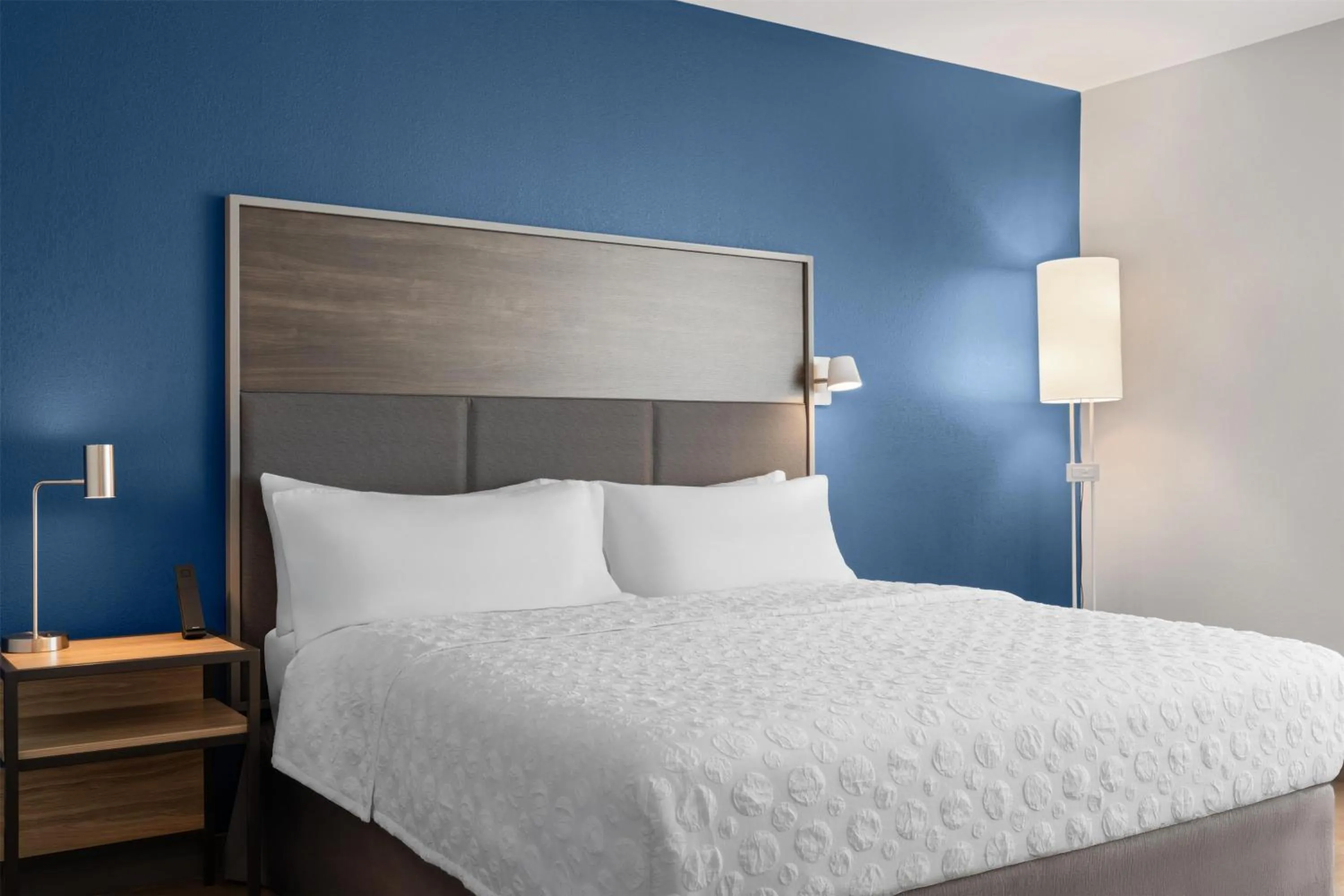 King Room with Walk-In Shower in Tru By Hilton Kearney