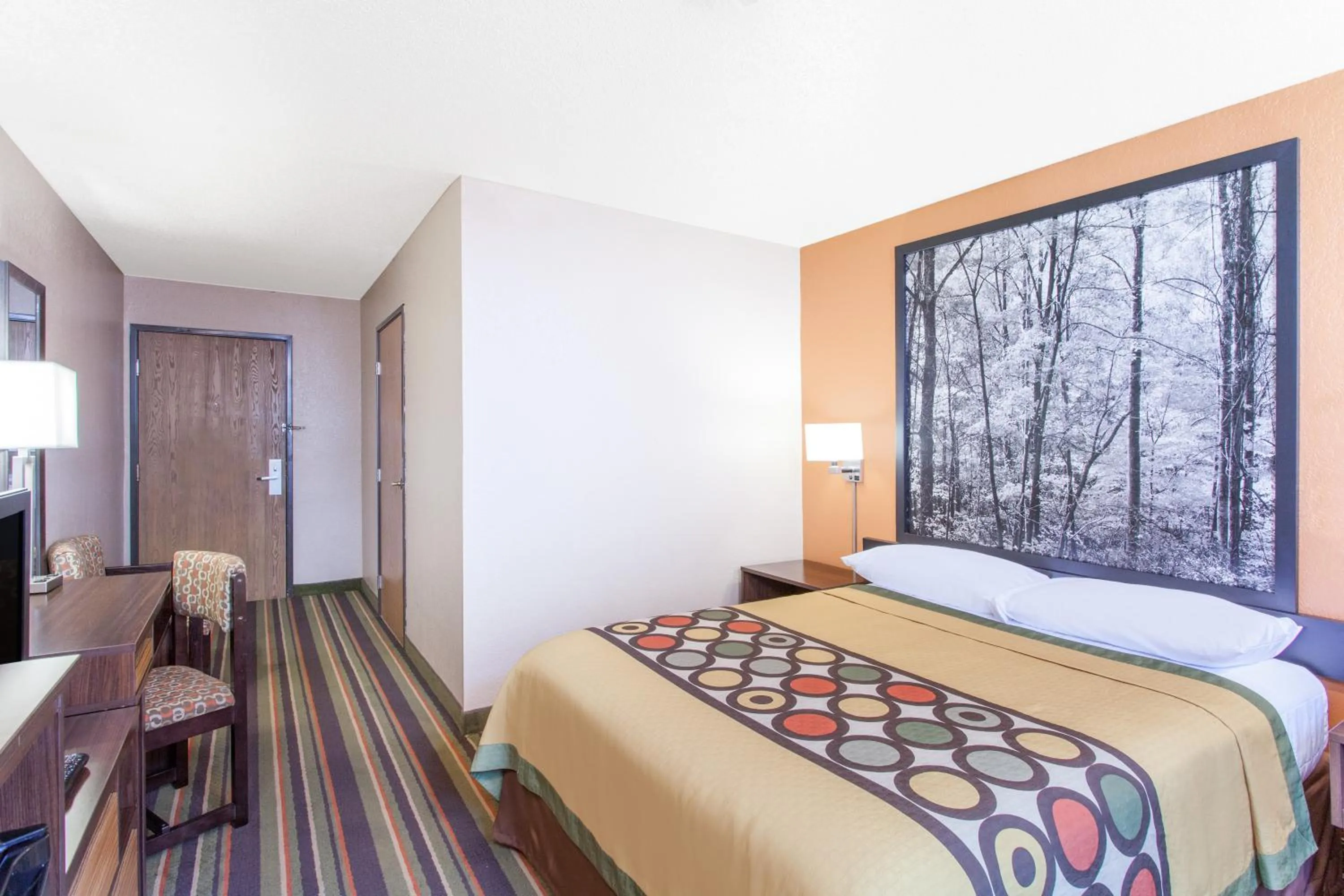 Queen Room - Disability Access in Super 8 by Wyndham Norton VA