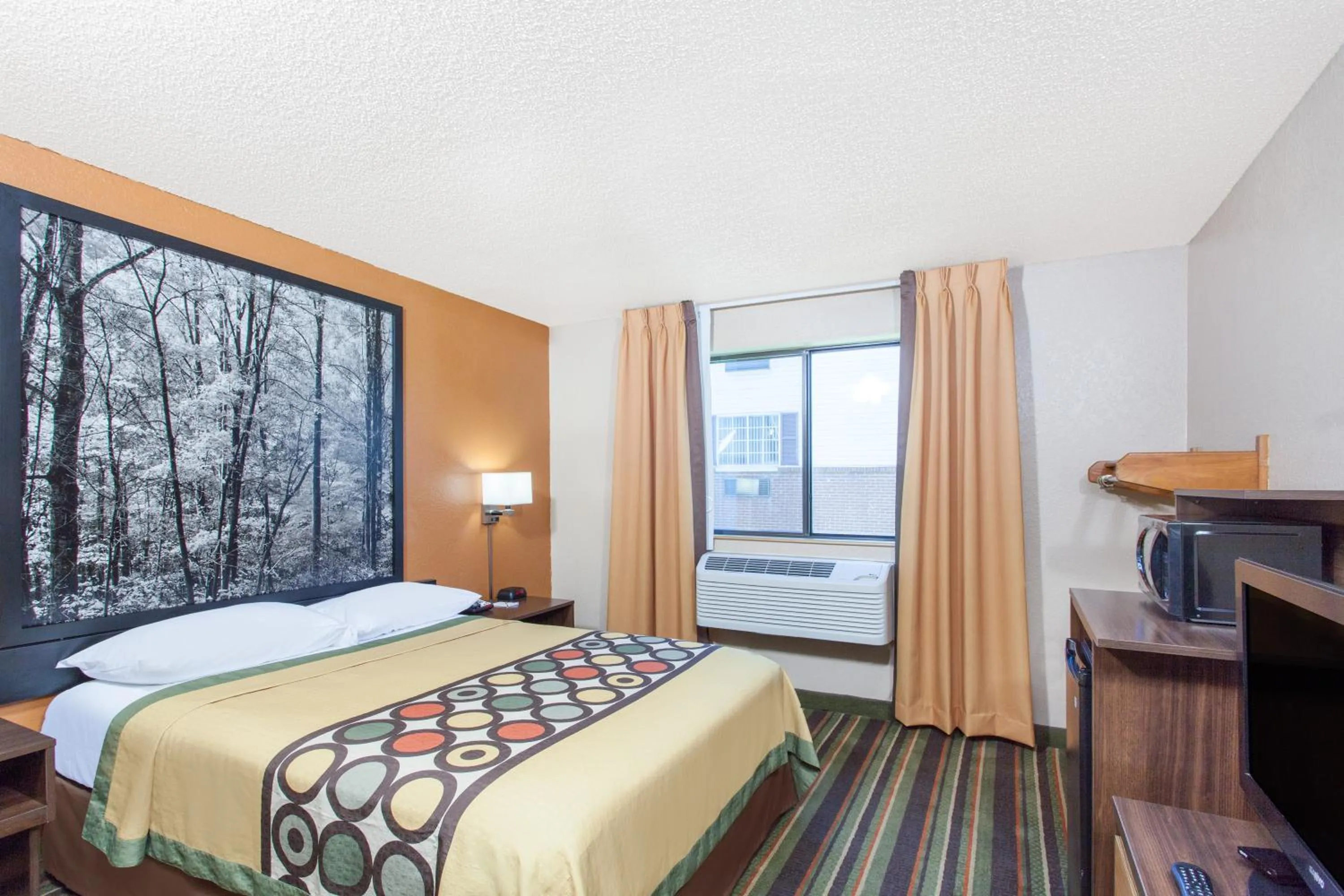 Queen Room - Disability Access in Super 8 by Wyndham Norton VA