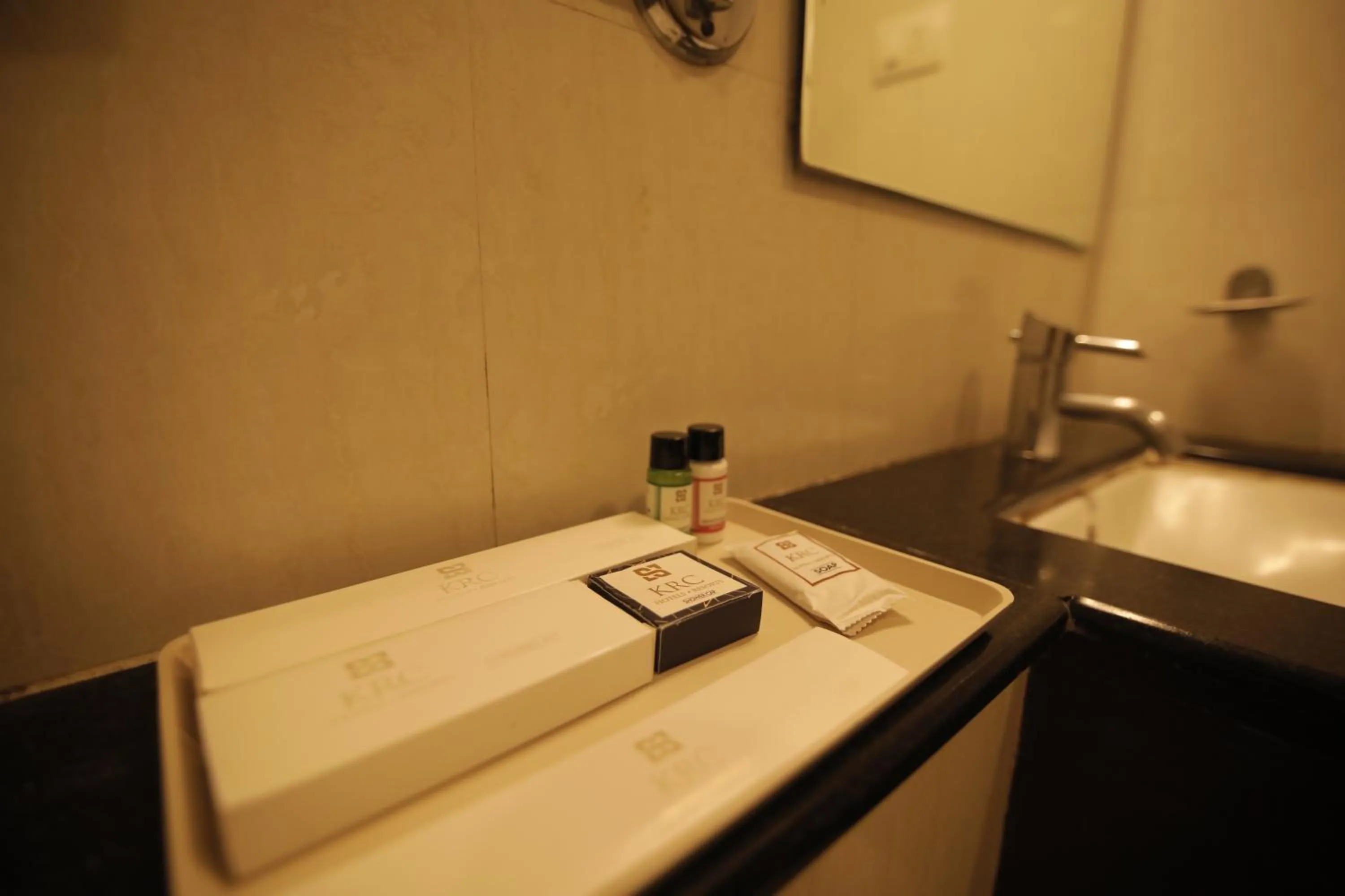 Elegant Room - single occupancy in Hotel KRC Palace