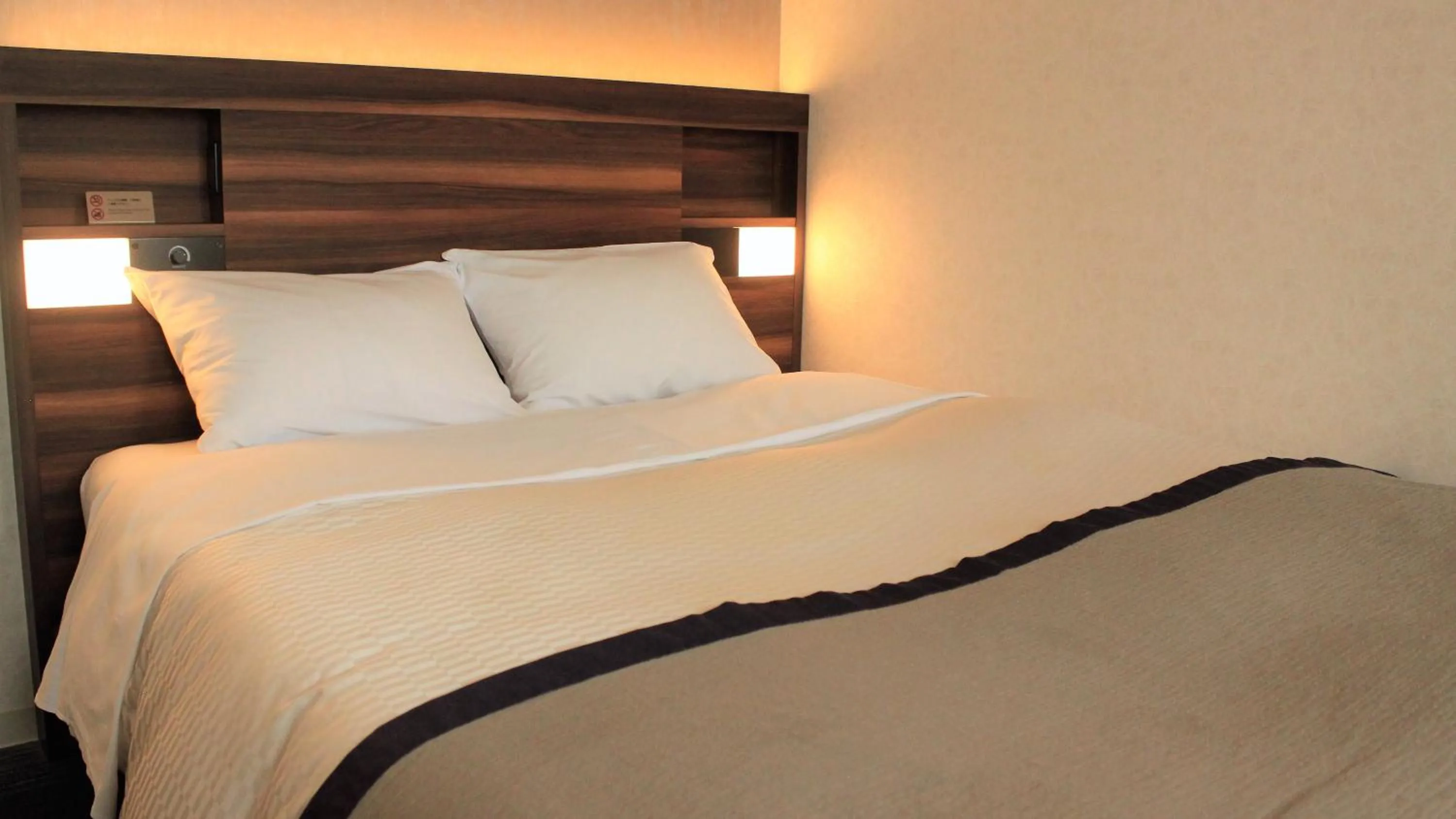 Double Room - single occupancy - Smoking in Kochi Pacific Hotel