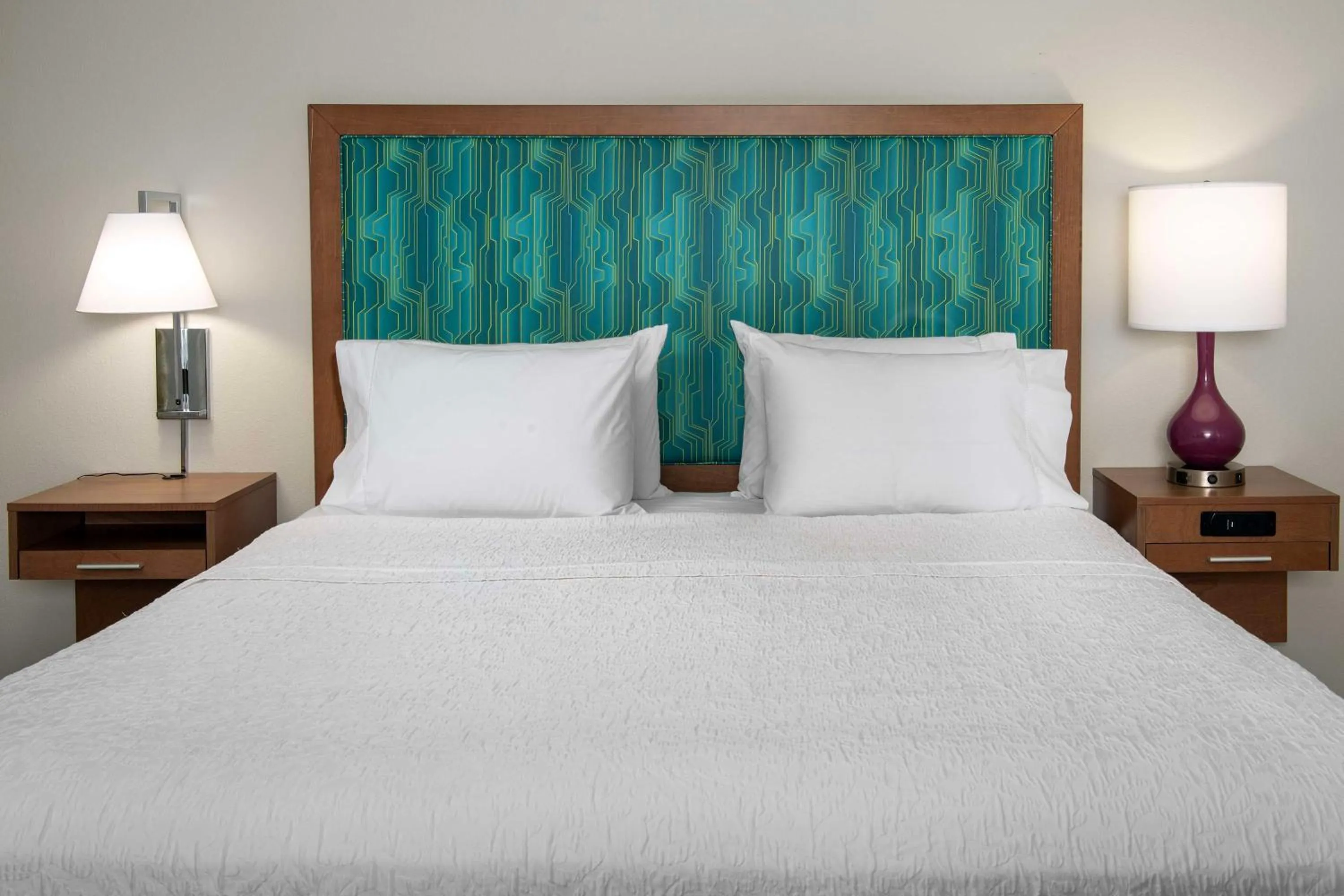 King Room - Non-Smoking in Hampton Inn & Suites Orangeburg, SC