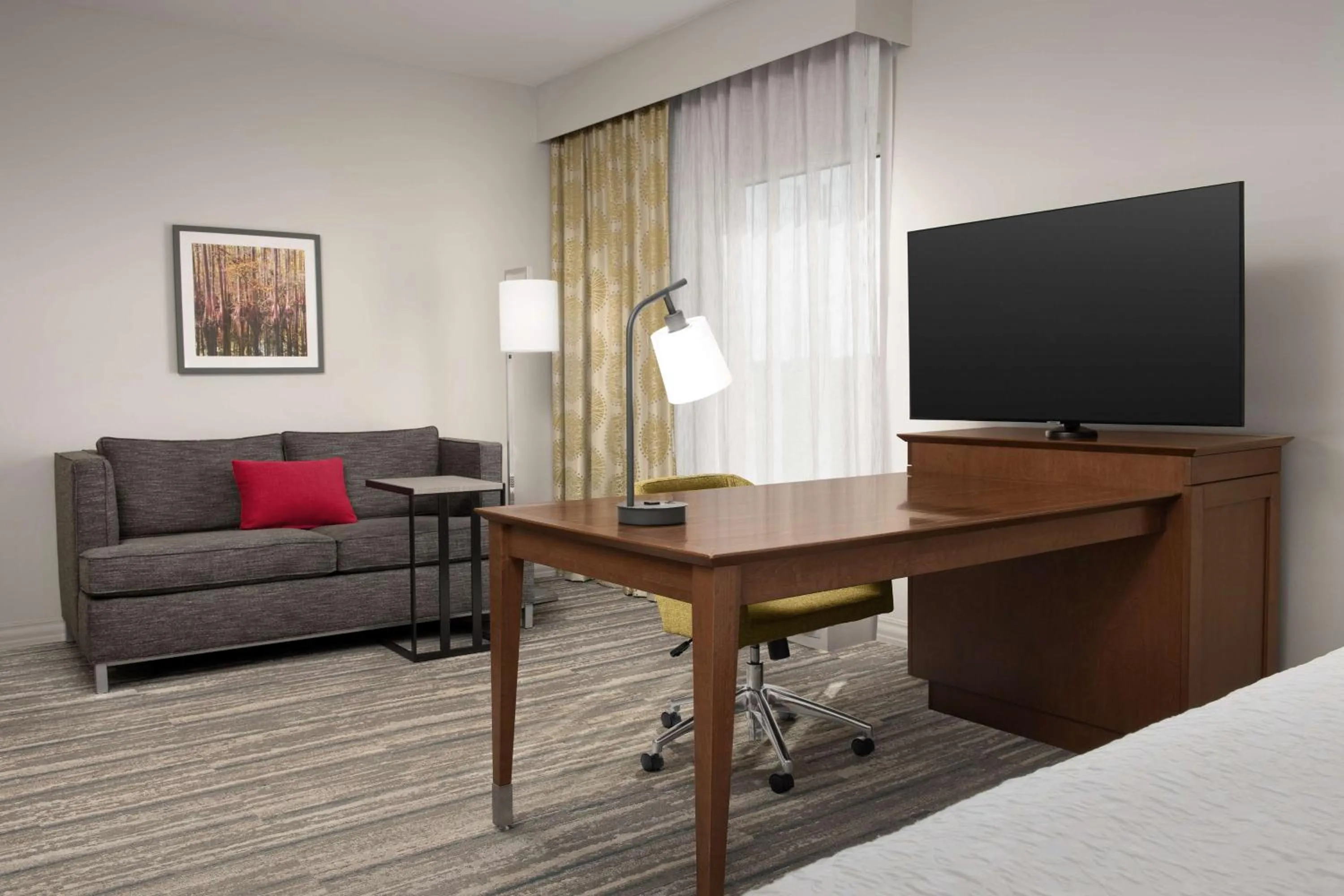 King Studio Suite - Non Smoking in Hampton Inn & Suites Orangeburg, SC