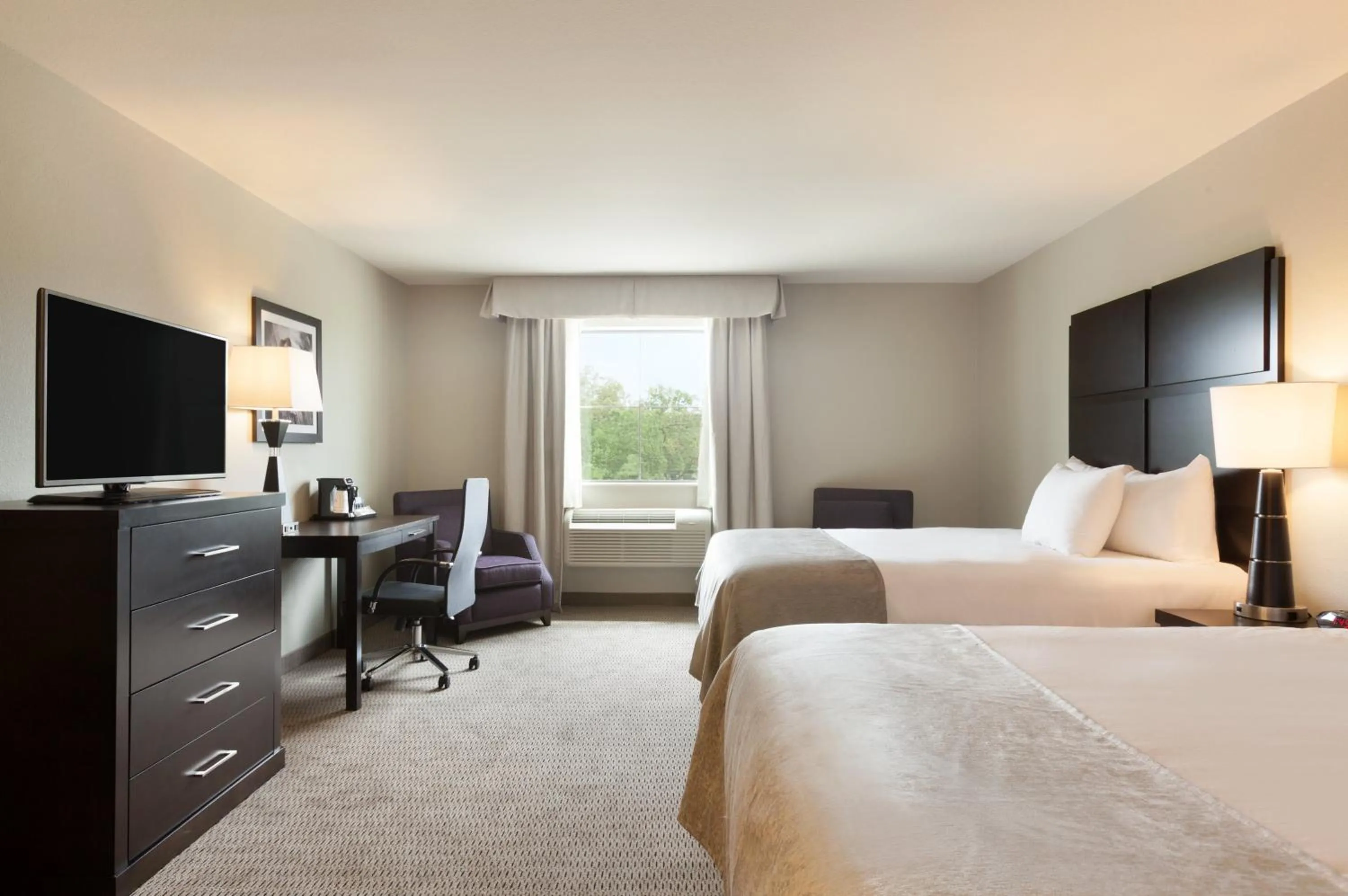 Deluxe Business Queen Room - Non-Smoking in Baymont by Wyndham College Station