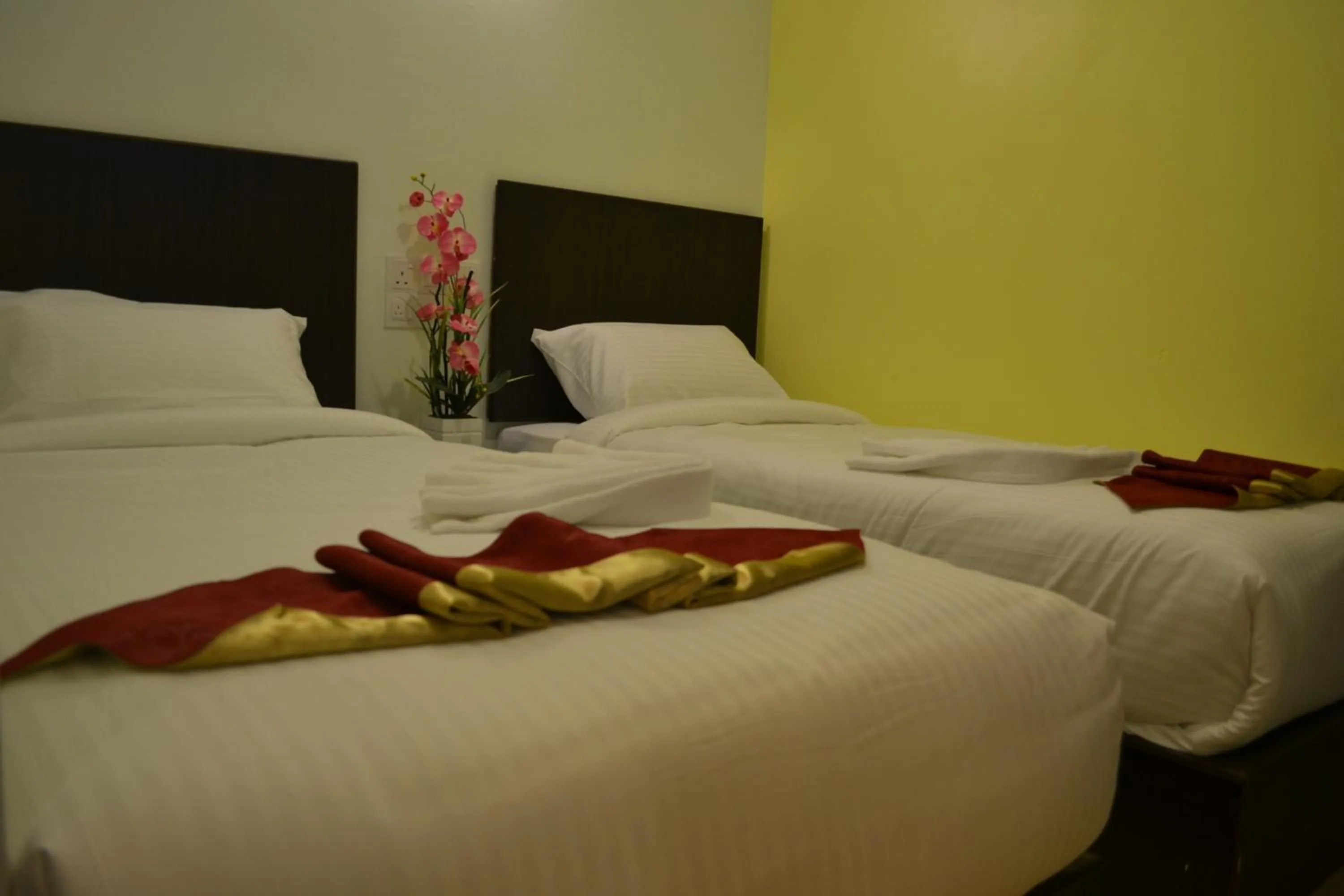 Superior Double or Twin Room in DR Hotel Penang