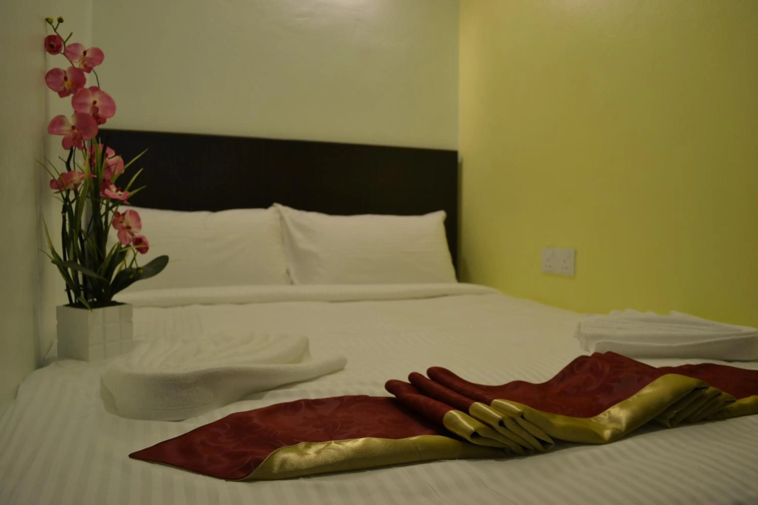 Standard Double Room in DR Hotel Penang